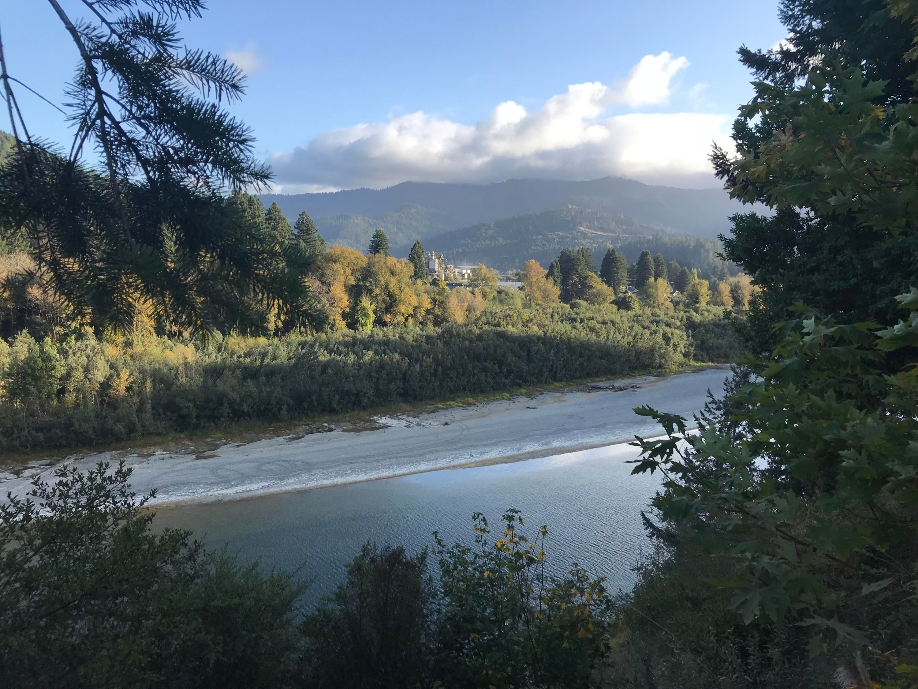 Rio Dell, Humboldt County, CA Undeveloped Land for sale Property ID