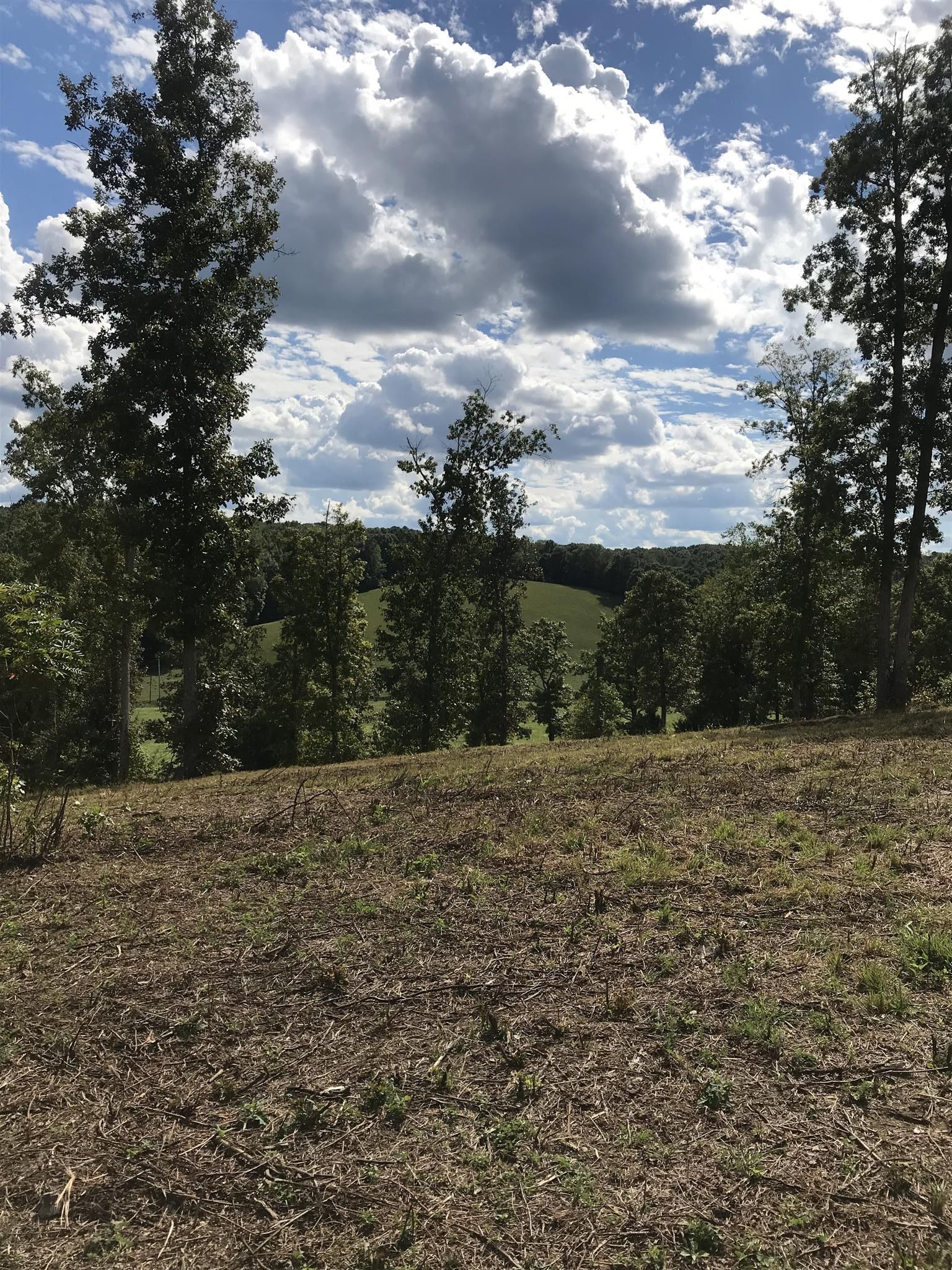 Erin, Houston County, TN Undeveloped Land, Homesites for sale Property