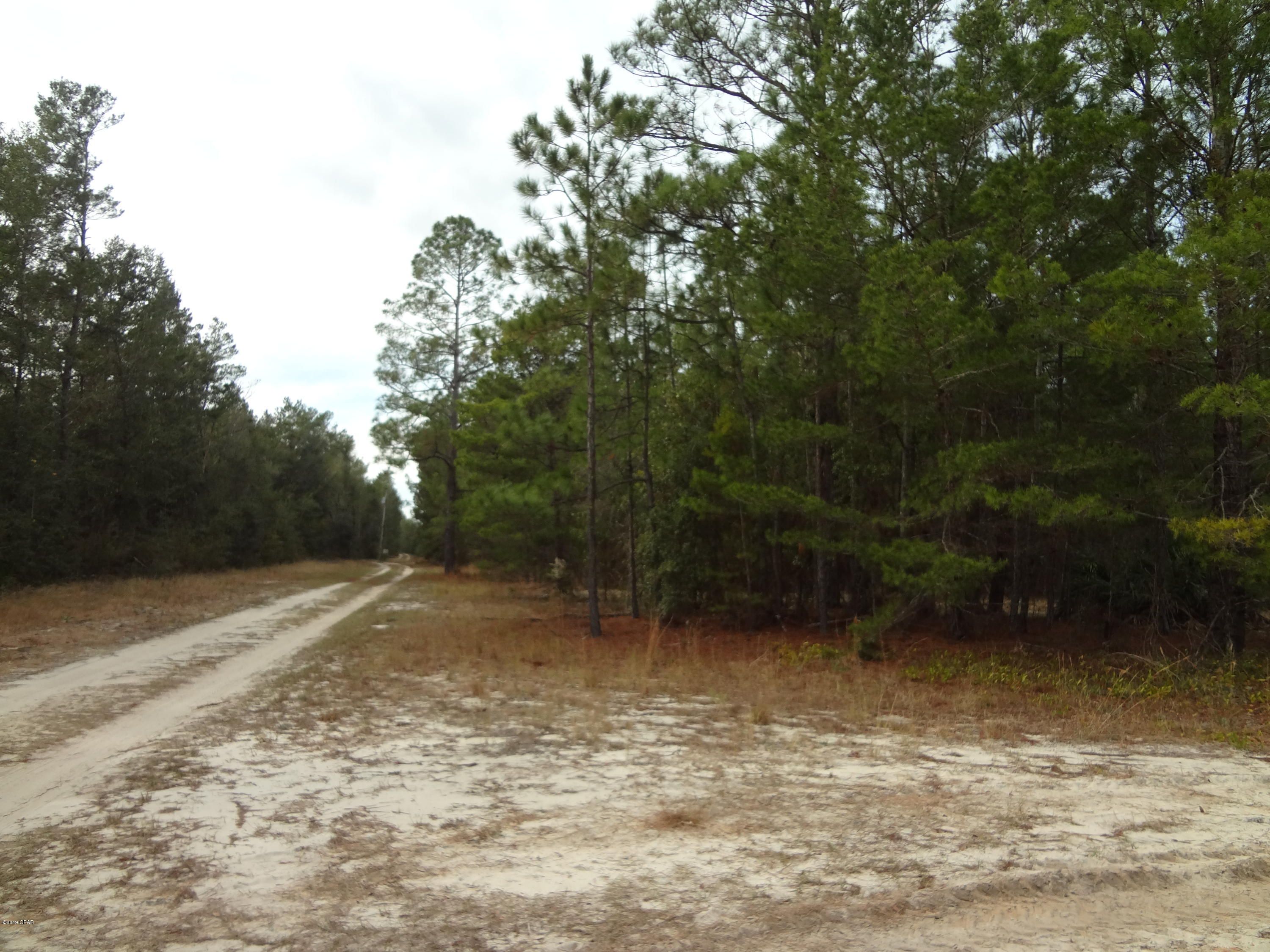 Ebro, Bay County, FL Undeveloped Land for sale Property ID 333740190