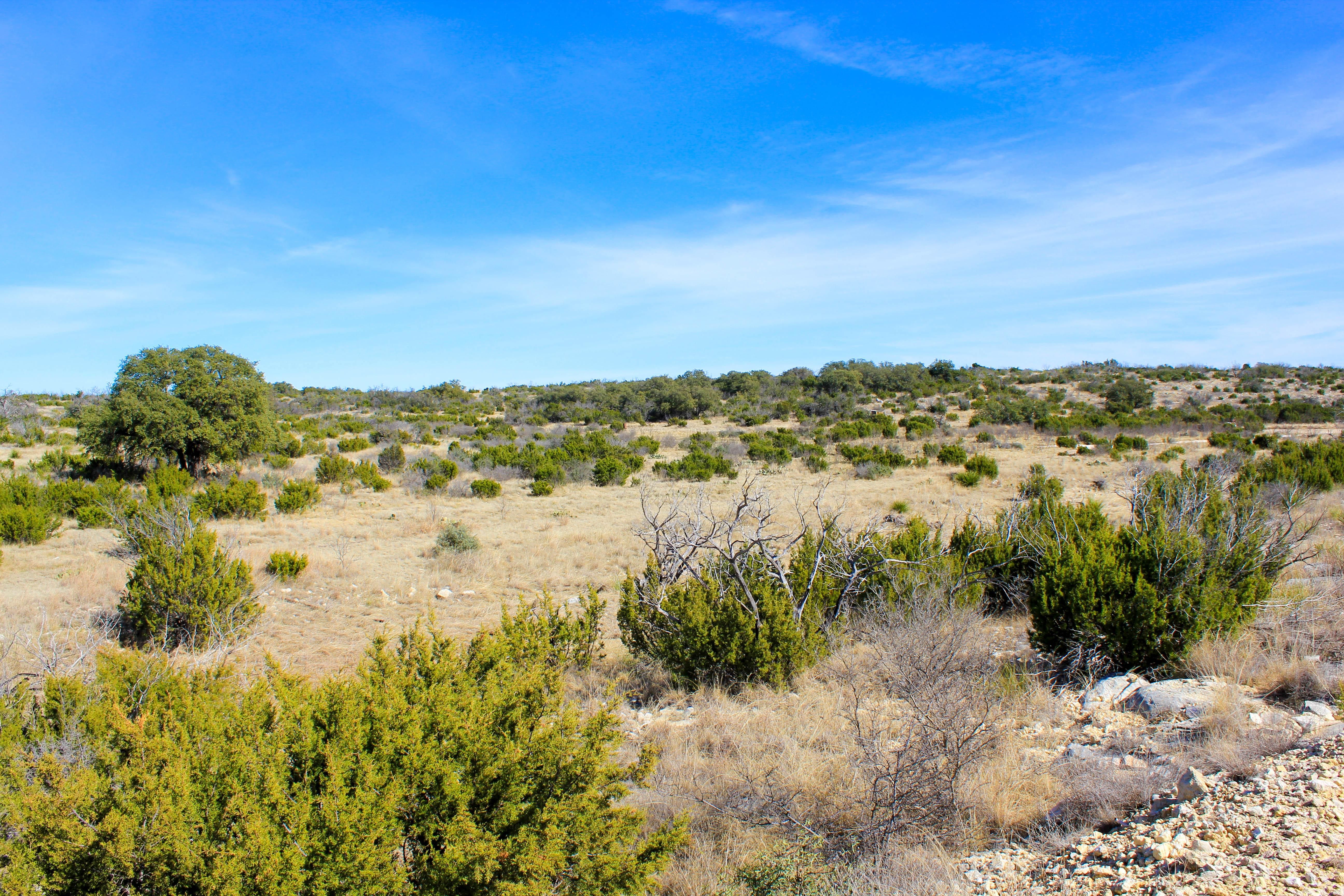 Ozona, Crockett County, TX Recreational Property, Hunting Property for