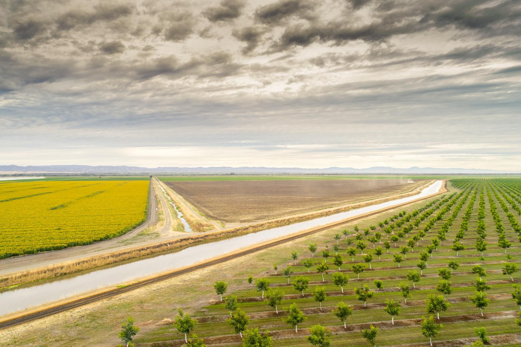 Knights Landing, Yolo County, CA Farms and Ranches for sale Property ID
