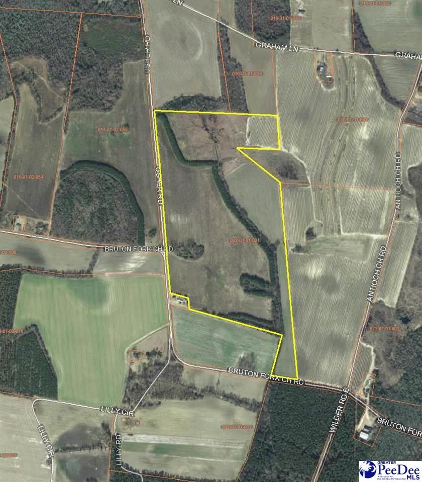 Marlboro County, SC Undeveloped Land for sale Property ID 333970248 LandWatch