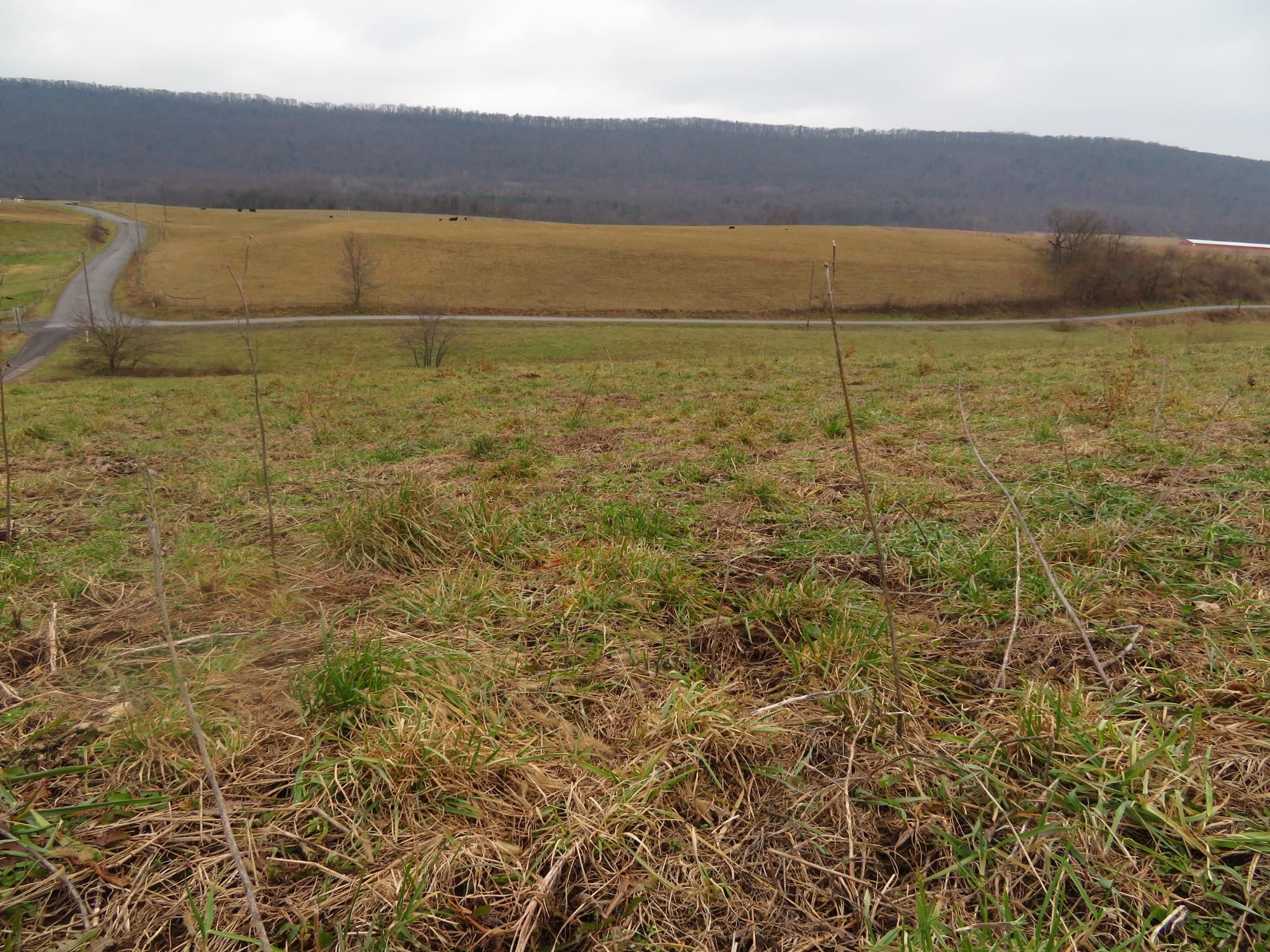 Dornsife, Northumberland County, PA Undeveloped Land, Homesites for