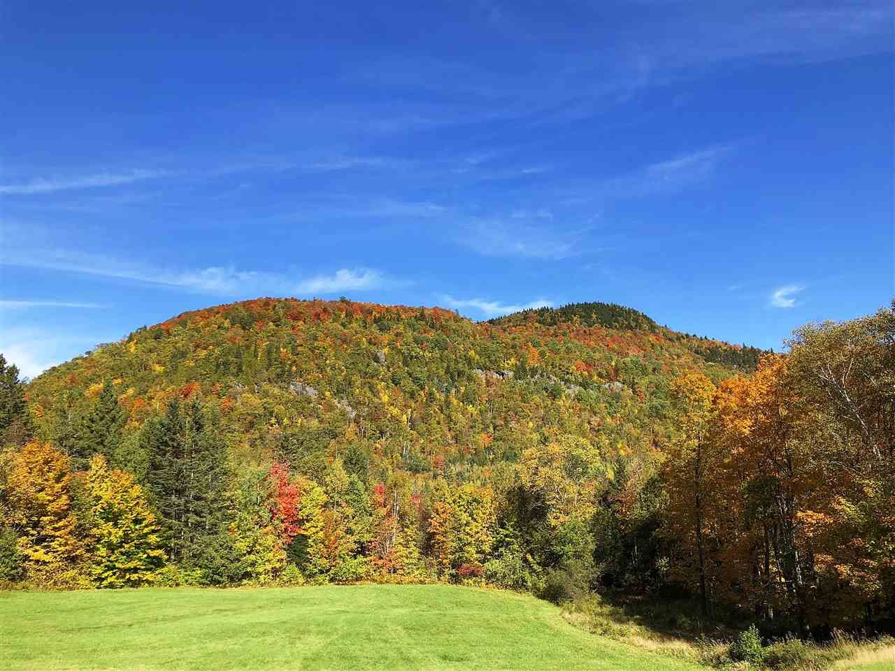 Brighton, Essex County, VT Undeveloped Land for sale Property ID