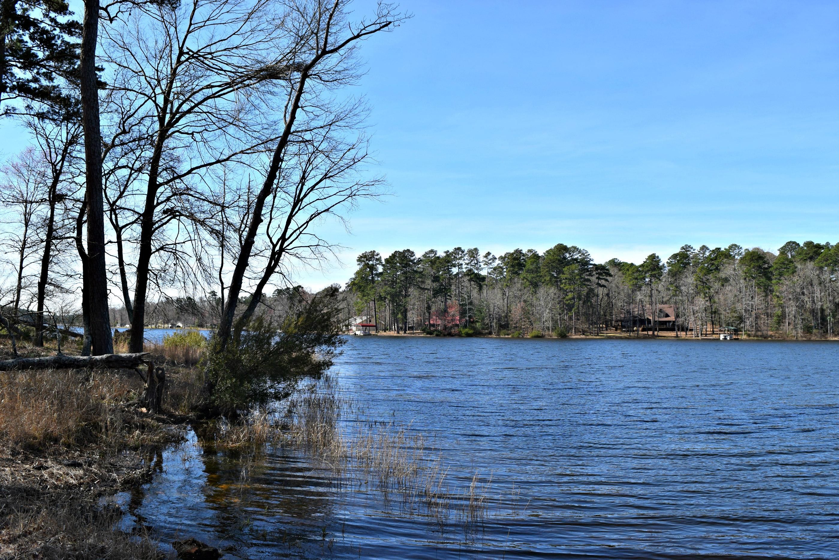 Avinger, Cass County, TX Recreational Property, Homesites for sale