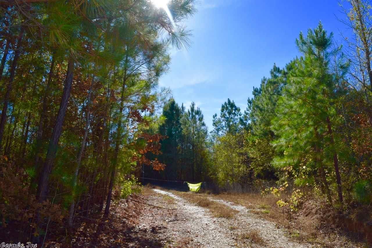 Chidester, Ouachita County, AR Undeveloped Land for sale Property ID