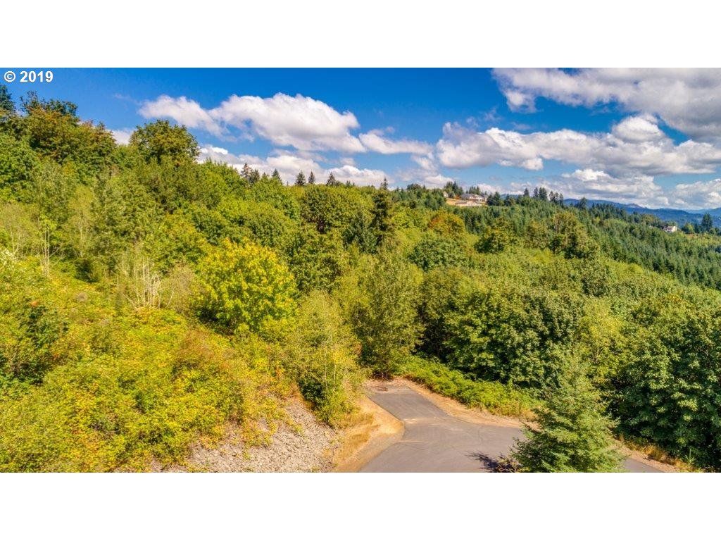 Woodland, Cowlitz County, WA Undeveloped Land for sale Property ID