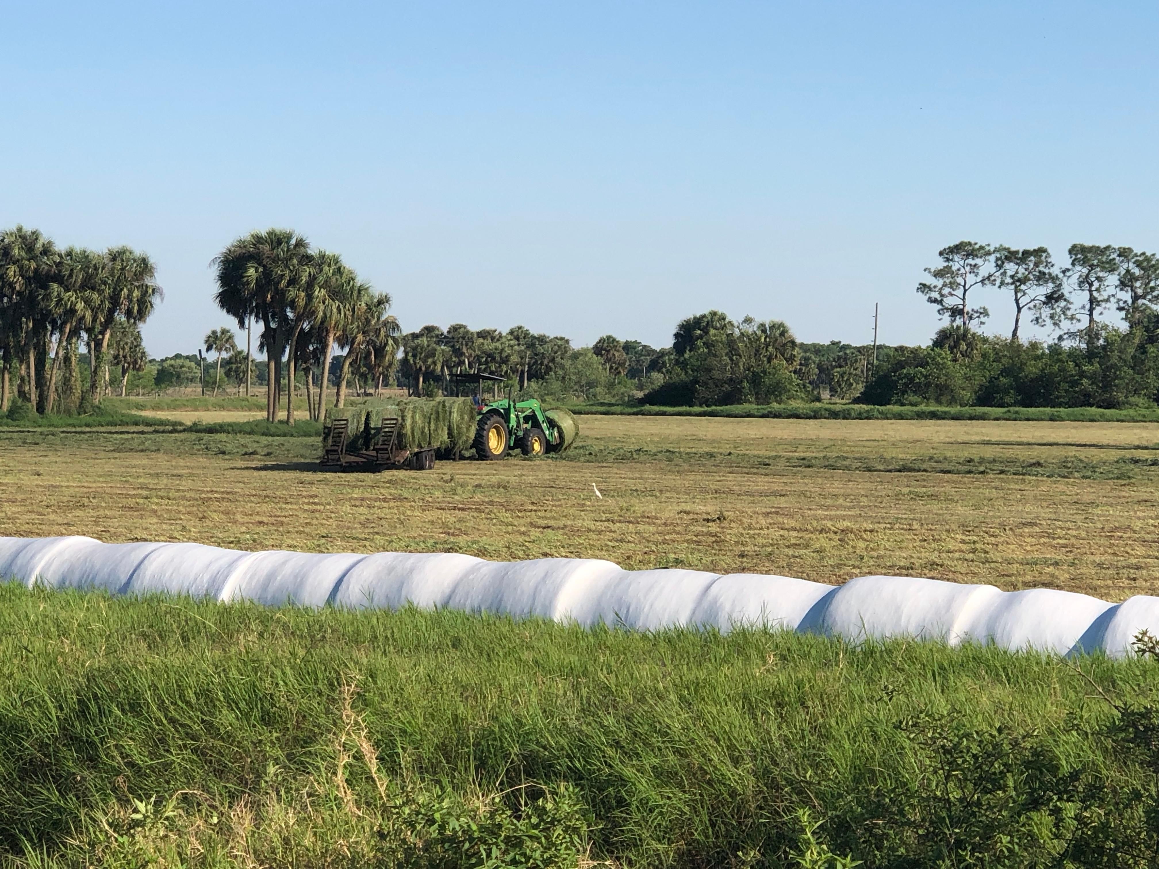 Okeechobee, Okeechobee County, FL Farms and Ranches for sale Property