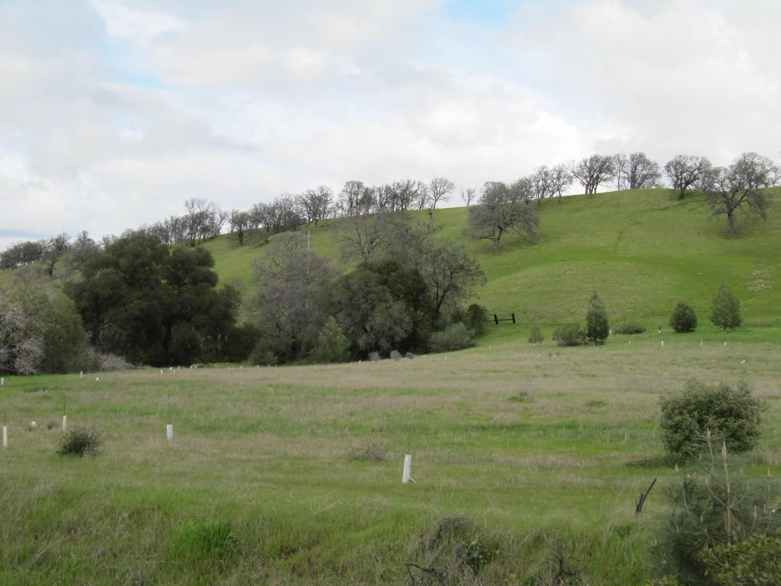 Winters Yolo County CA Farms And Ranches Recreational Property