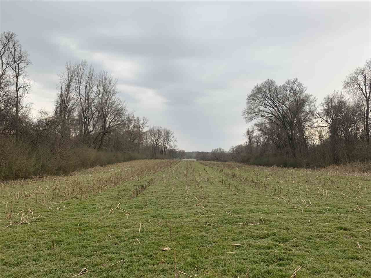 Dyersburg, Dyer County, TN Farms and Ranches for sale Property ID