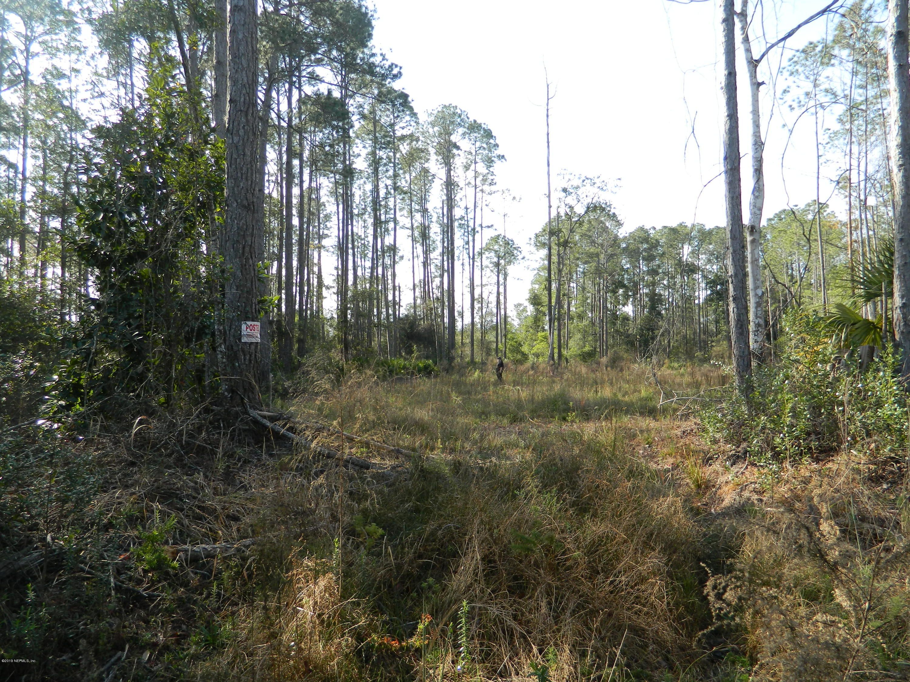 Putnam County, FL Undeveloped Land, Homesites for sale