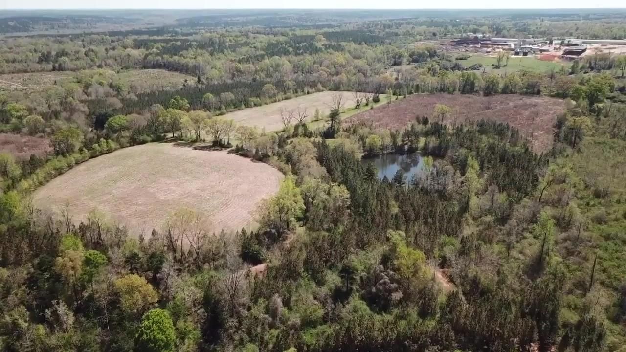 Monroeville, Monroe County, AL Timberland Property, Hunting Property