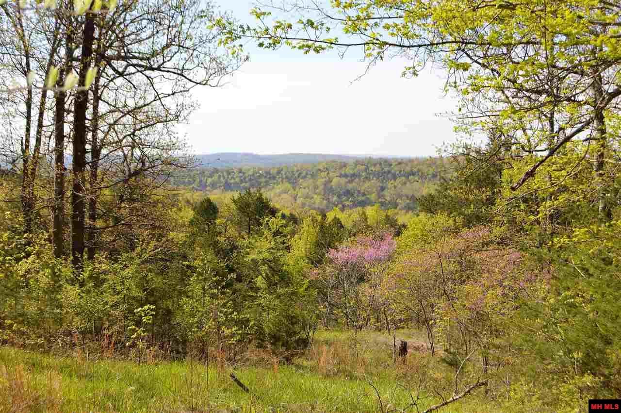 Clarkridge, Baxter County, AR Undeveloped Land for sale Property ID