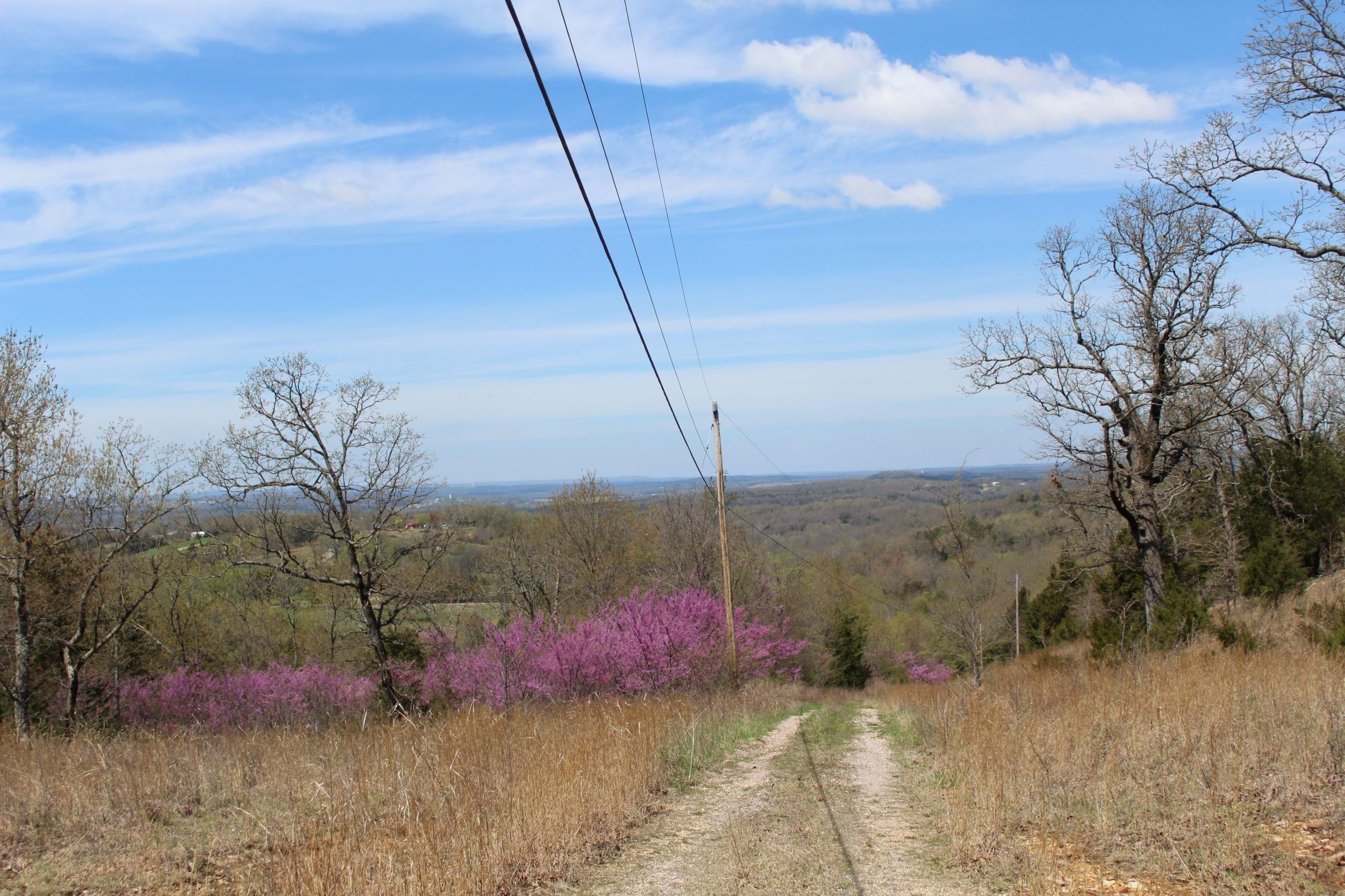 Lead Hill, Marion County, AR Undeveloped Land for sale Property ID
