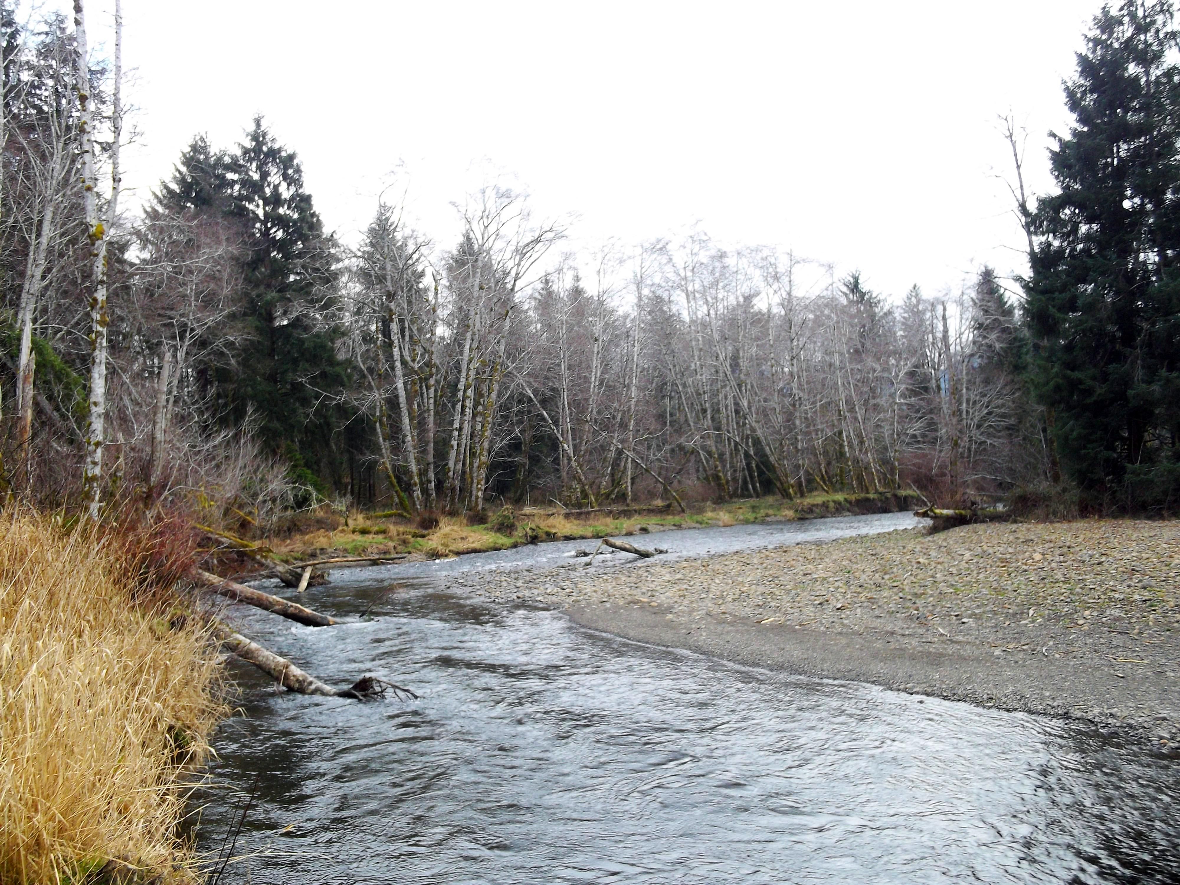 Cannon Beach, Clatsop County, OR Recreational Property, Timberland