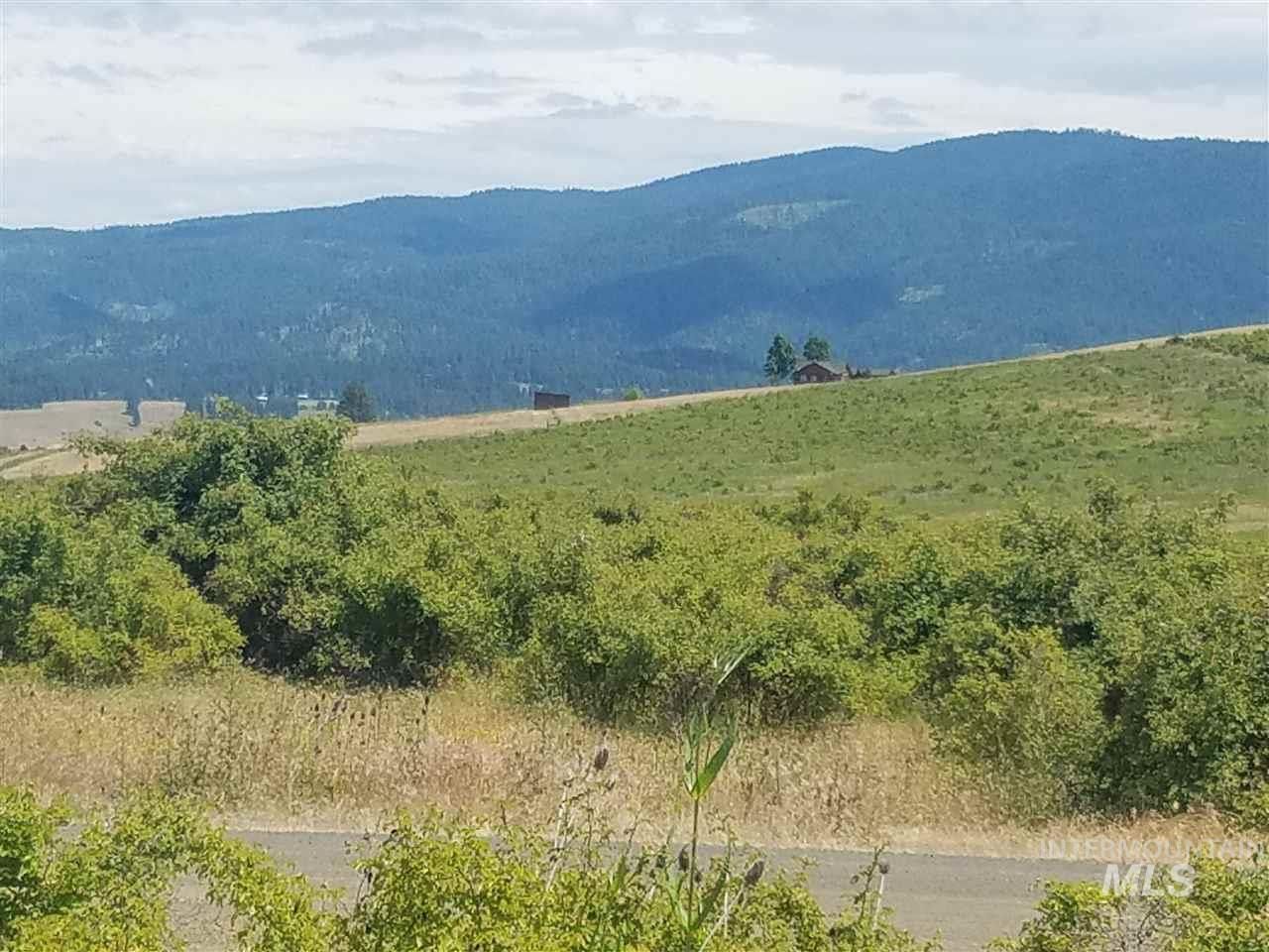 Grangeville, Idaho County, ID Undeveloped Land, Homesites for sale