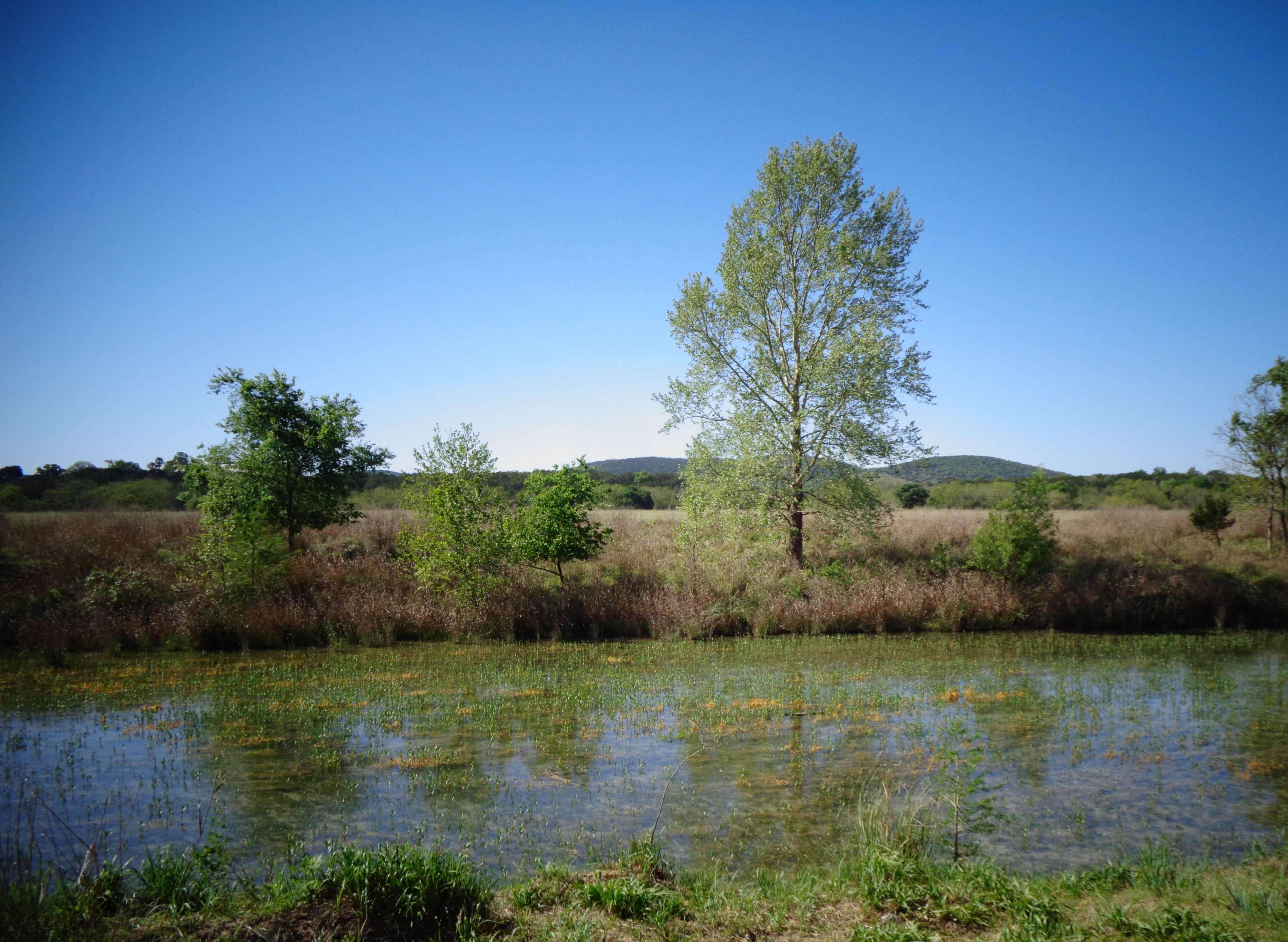 Medina, Bandera County, TX Recreational Property, Horse Property