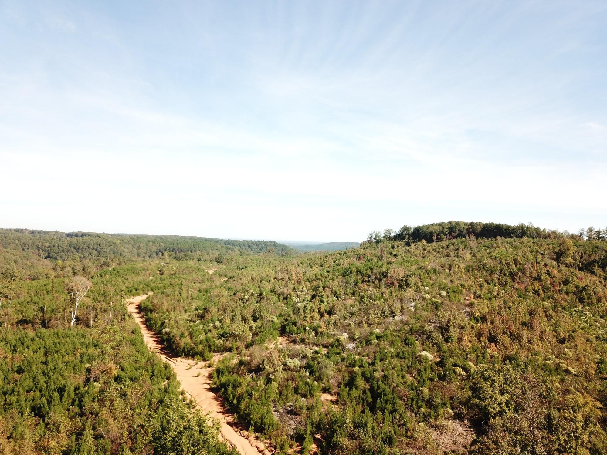 Carbon Hill, Walker County, AL Recreational Property, Timberland Property, Hunting Property for