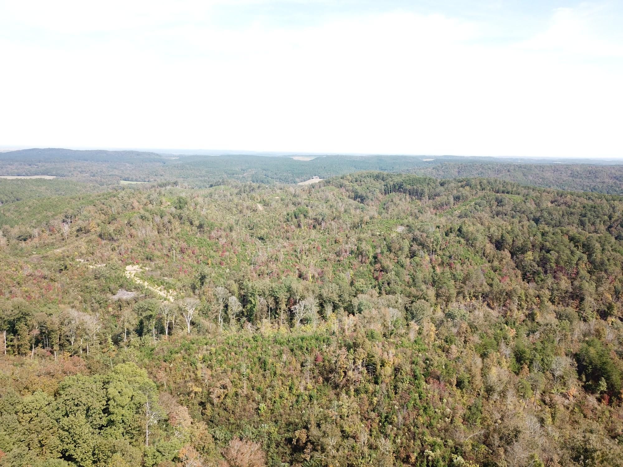 Carbon Hill, Walker County, AL Recreational Property, Timberland