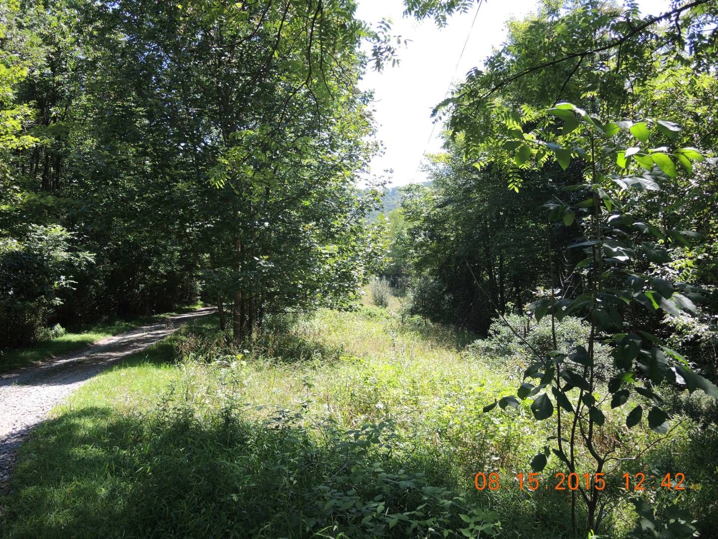 Napier, Braxton County, WV Undeveloped Land, Homesites for sale