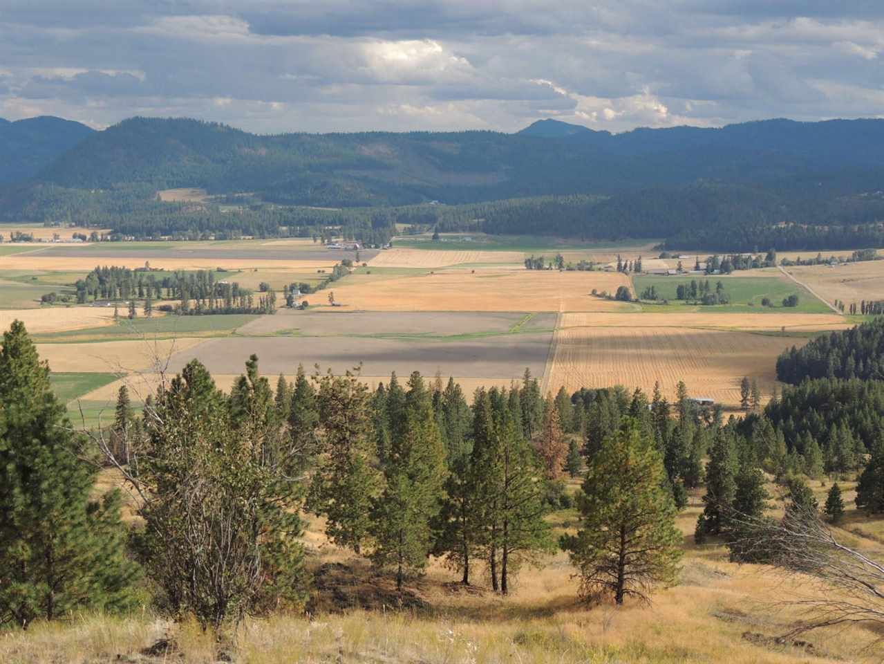 Chewelah, Stevens County, WA Undeveloped Land for sale Property ID