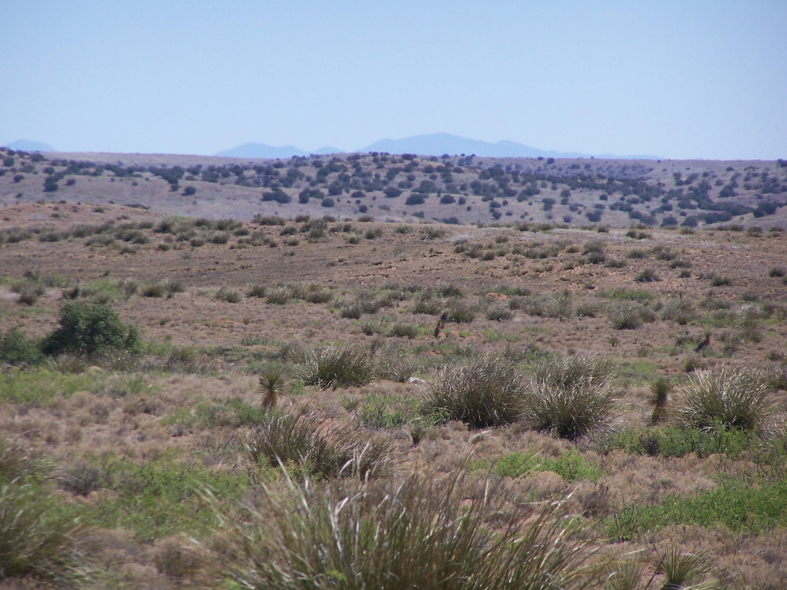 Separ, Grant County, NM Farms and Ranches, Commercial Property, Hunting