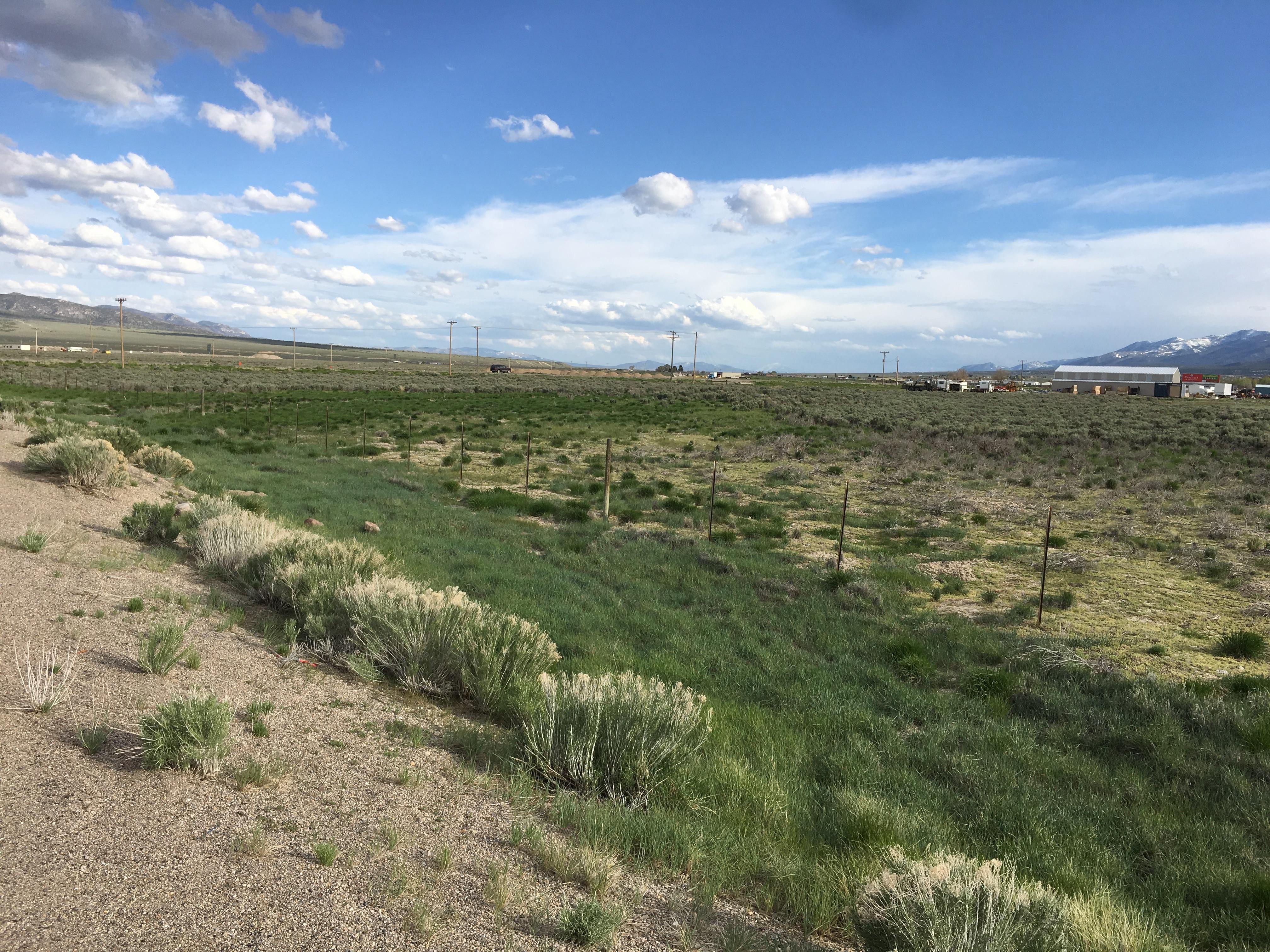 Ely, White Pine County, NV Horse Property for sale Property ID