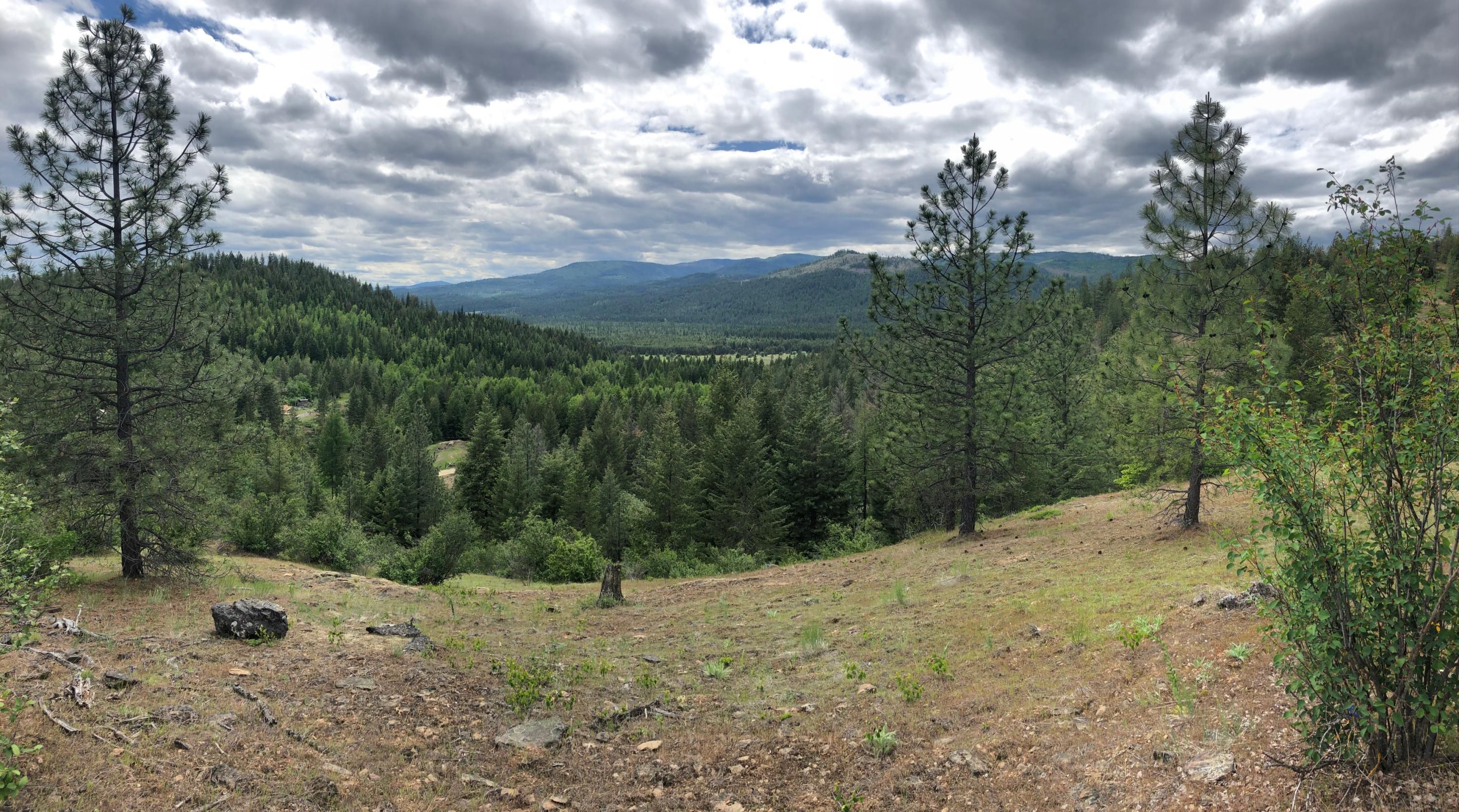 Sagle, Bonner County, ID Undeveloped Land for sale Property ID 335030138 LandWatch