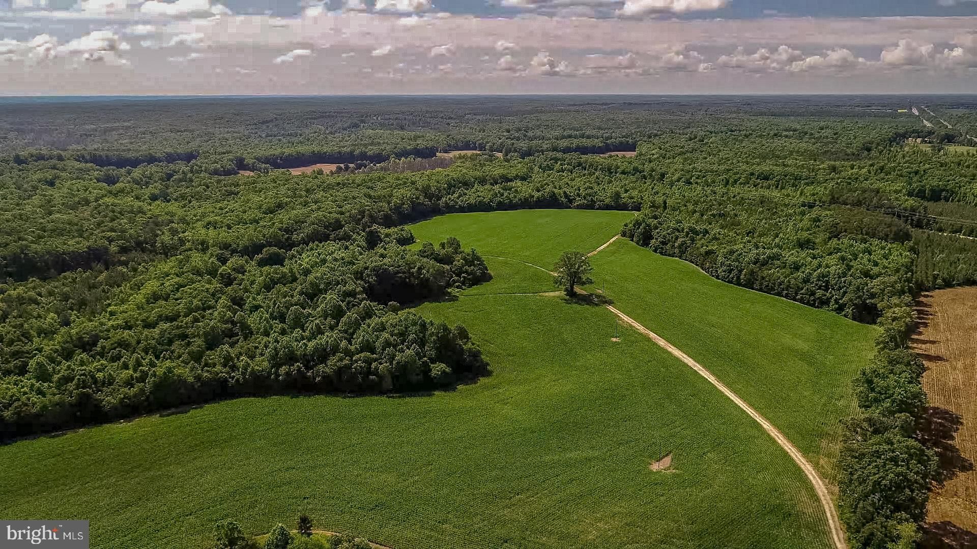 Woodford, Caroline County, VA Undeveloped Land, Lakefront Property