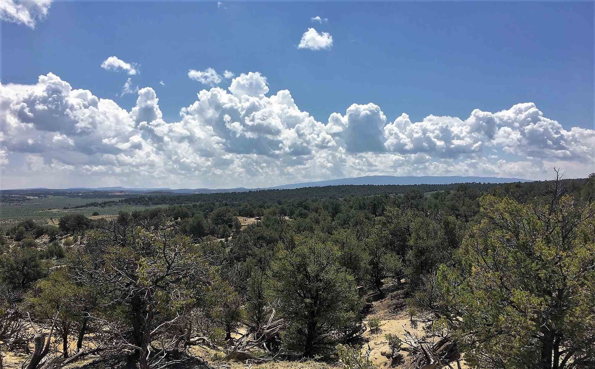 Lindrith, Rio Arriba County, NM Farms and Ranches, Lakefront Property