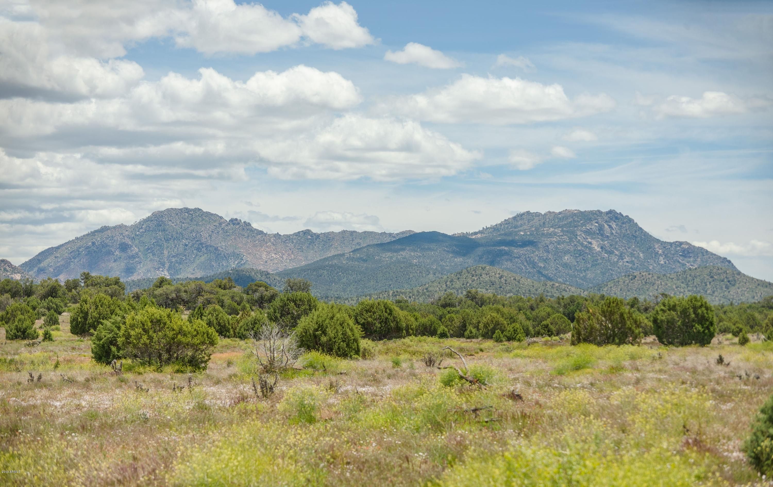 Prescott, Yavapai County, AZ Undeveloped Land for sale Property ID