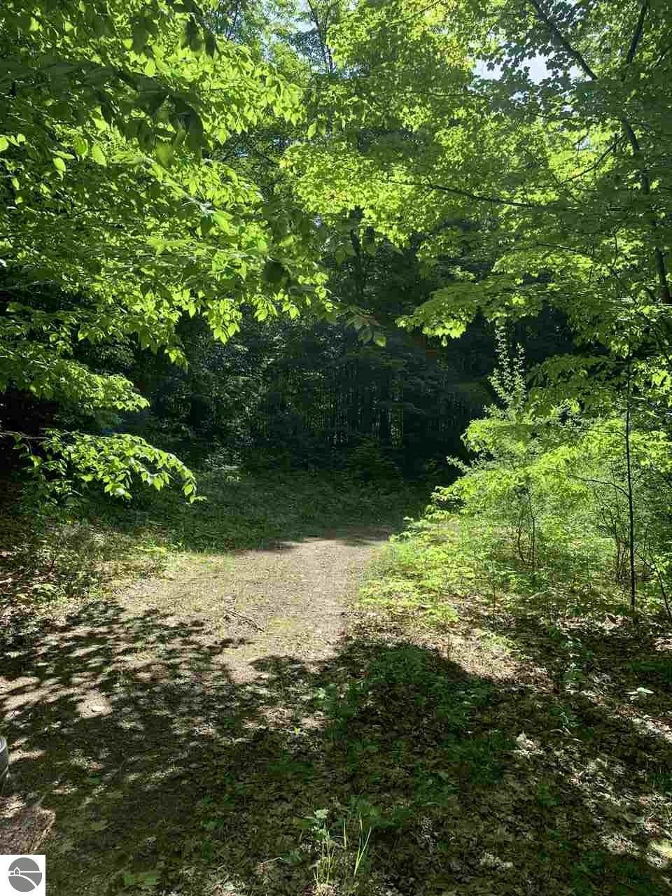 Thompsonville, Benzie County, MI Undeveloped Land for sale Property ID