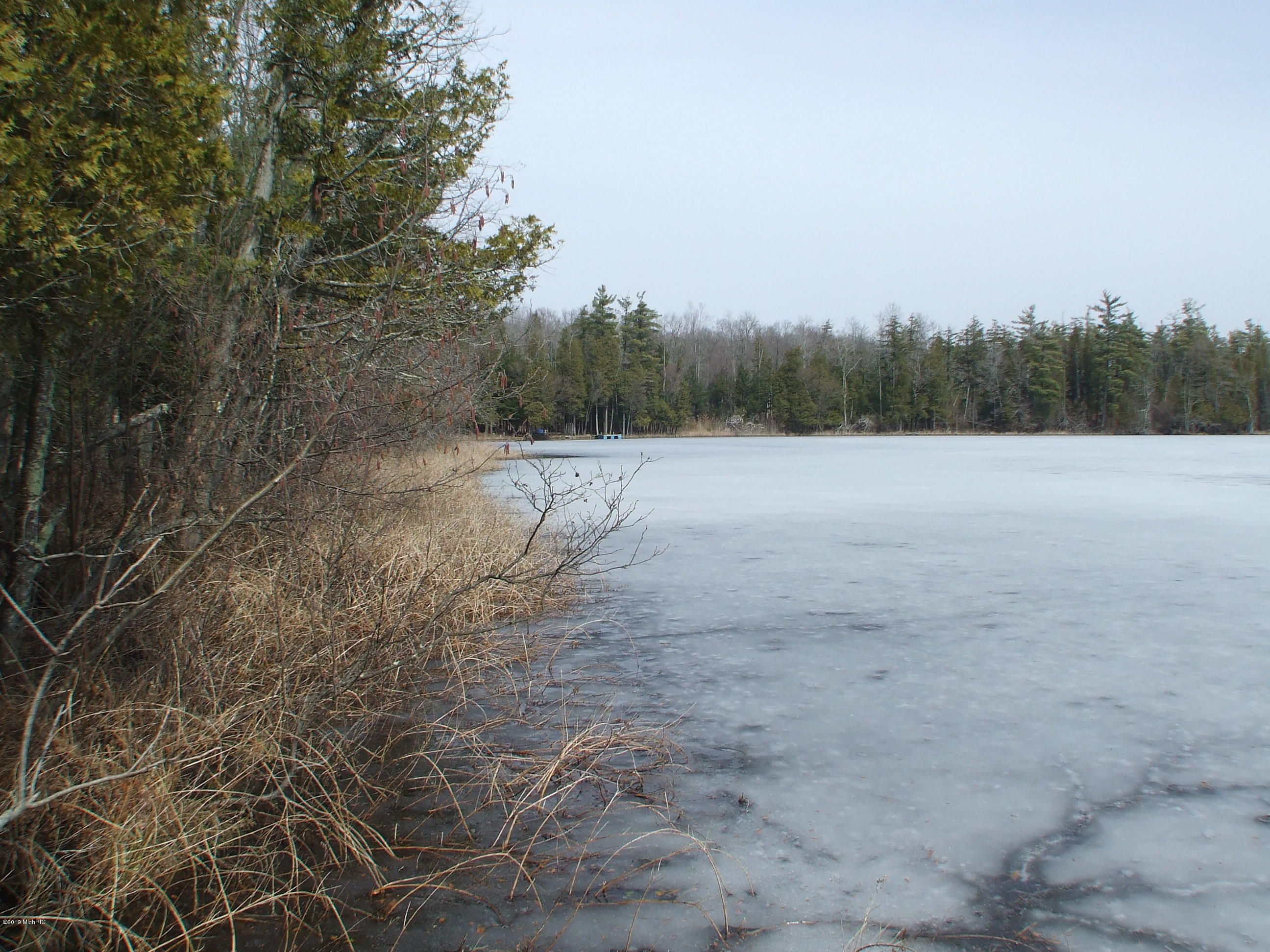 Rothbury, Oceana County, MI Undeveloped Land, Homesites for sale Property ID 334698392 LandWatch