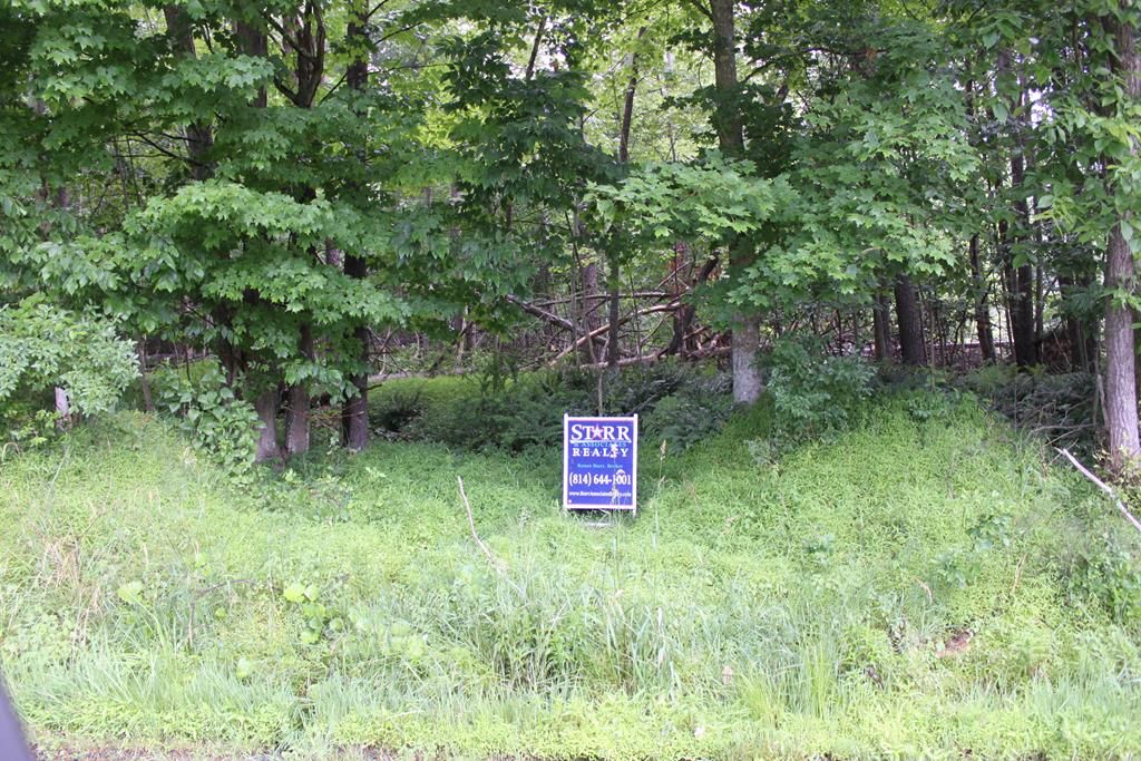 Huntingdon, Huntingdon County, PA Undeveloped Land for sale Property ID