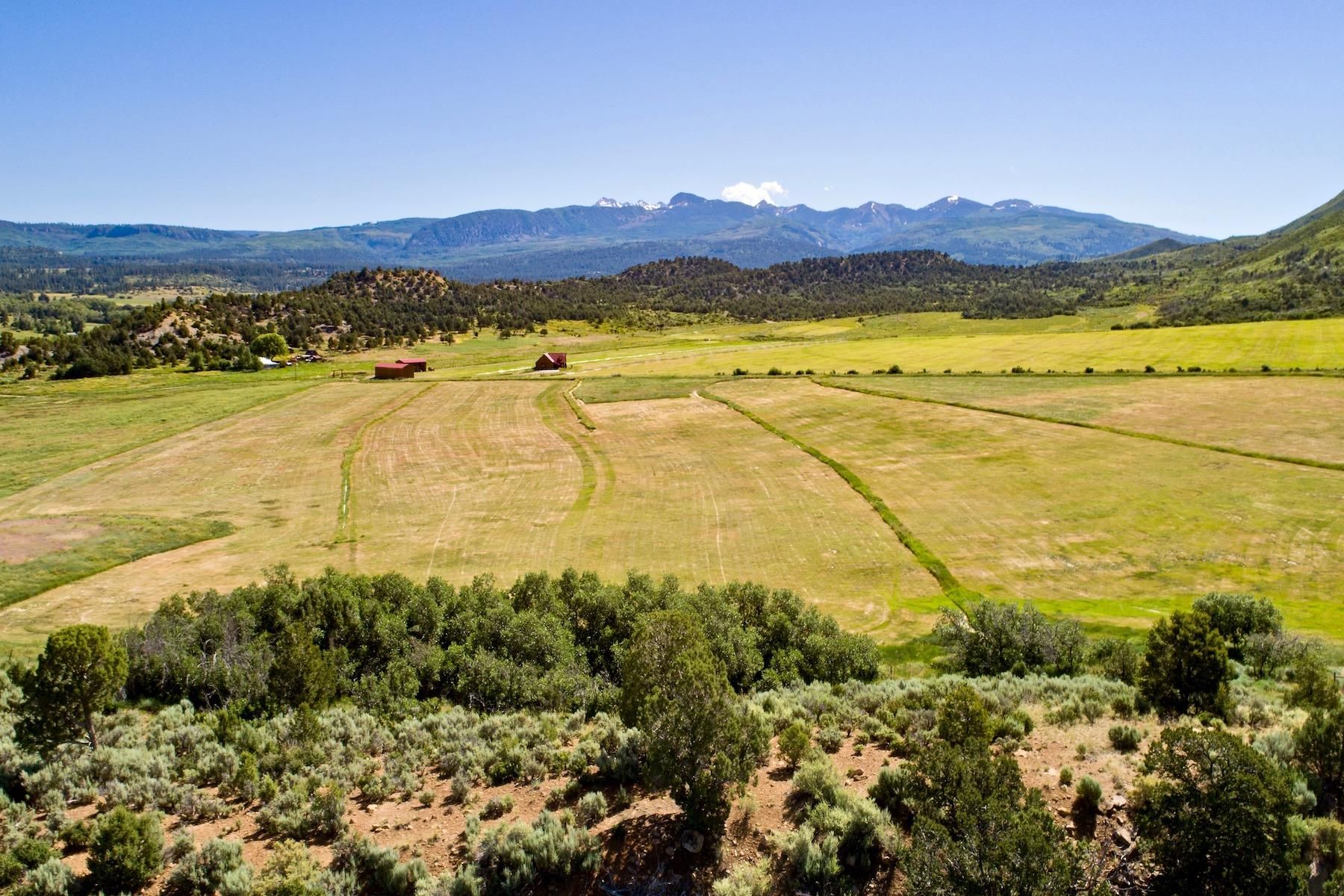 Mancos, Montezuma County, CO Farms and Ranches, Recreational Property