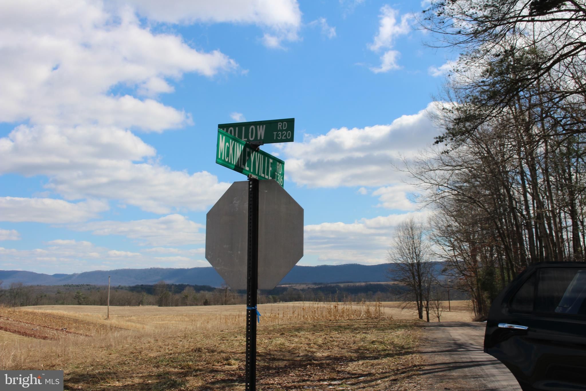 Hustontown, Fulton County, PA Undeveloped Land for sale Property ID