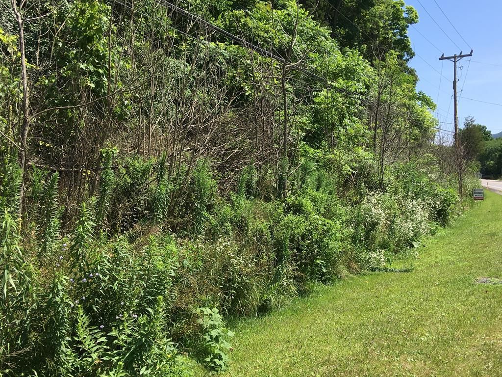 Spruce Creek, Huntingdon County, PA Undeveloped Land, Homesites for