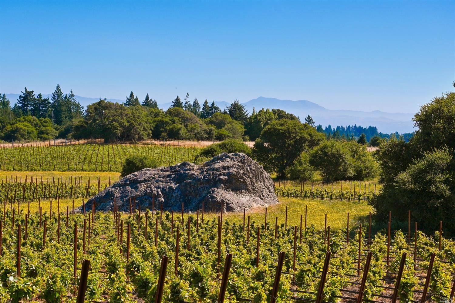 Occidental, Sonoma County, CA House for sale Property ID 335657439