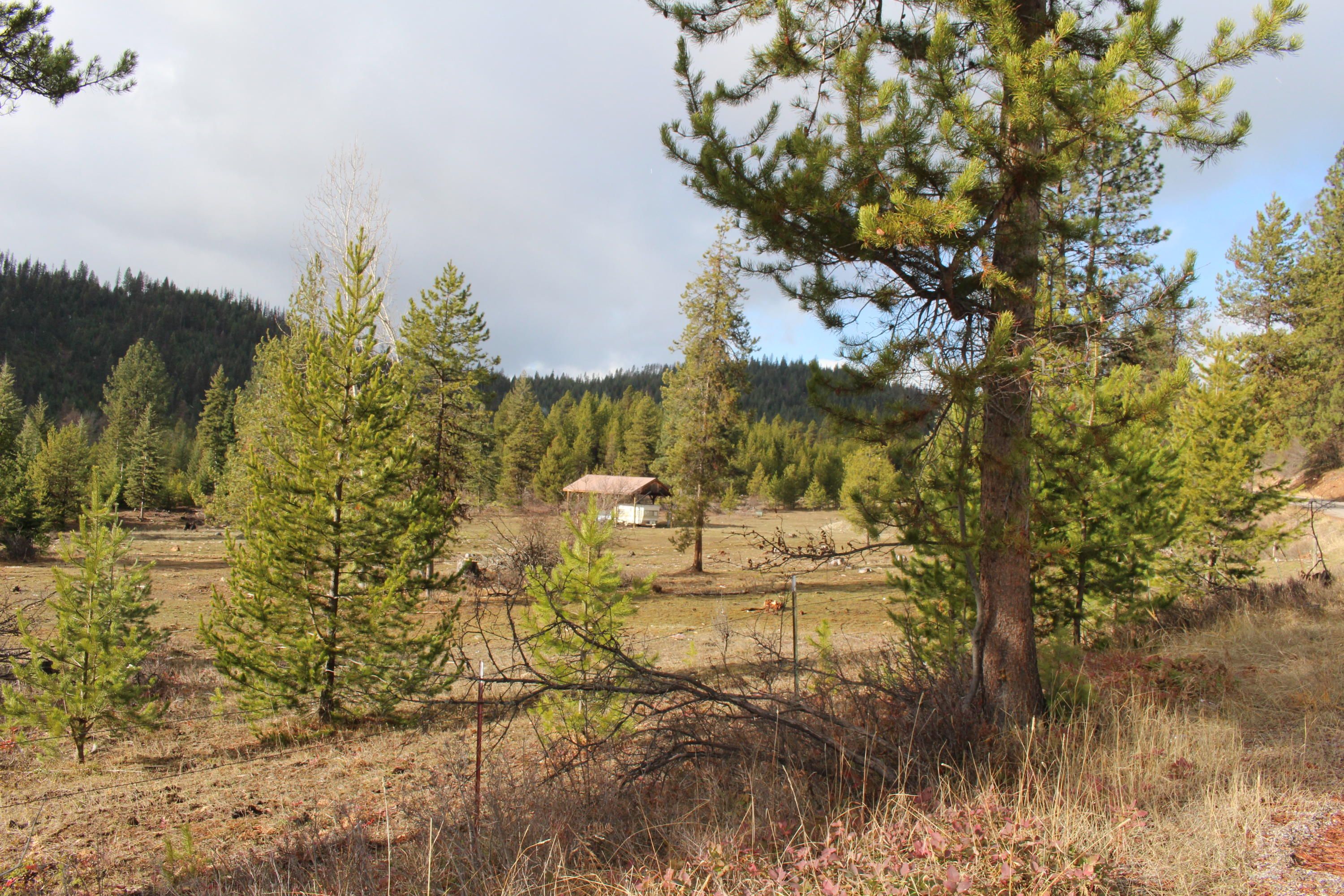 De Mineral County, MT Undeveloped Land for sale Property ID