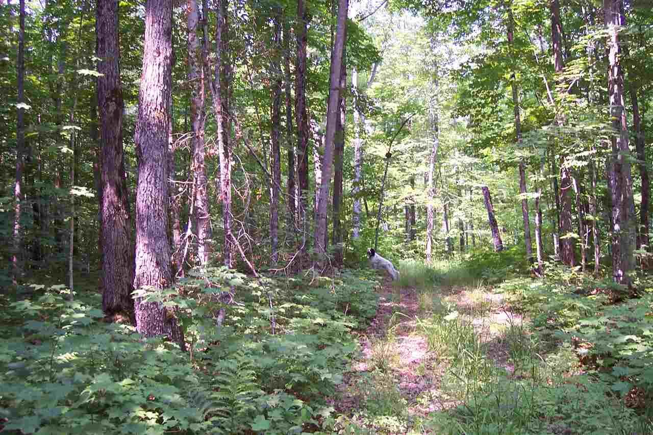 Bergland, Ontonagon County, MI Undeveloped Land for sale Property ID