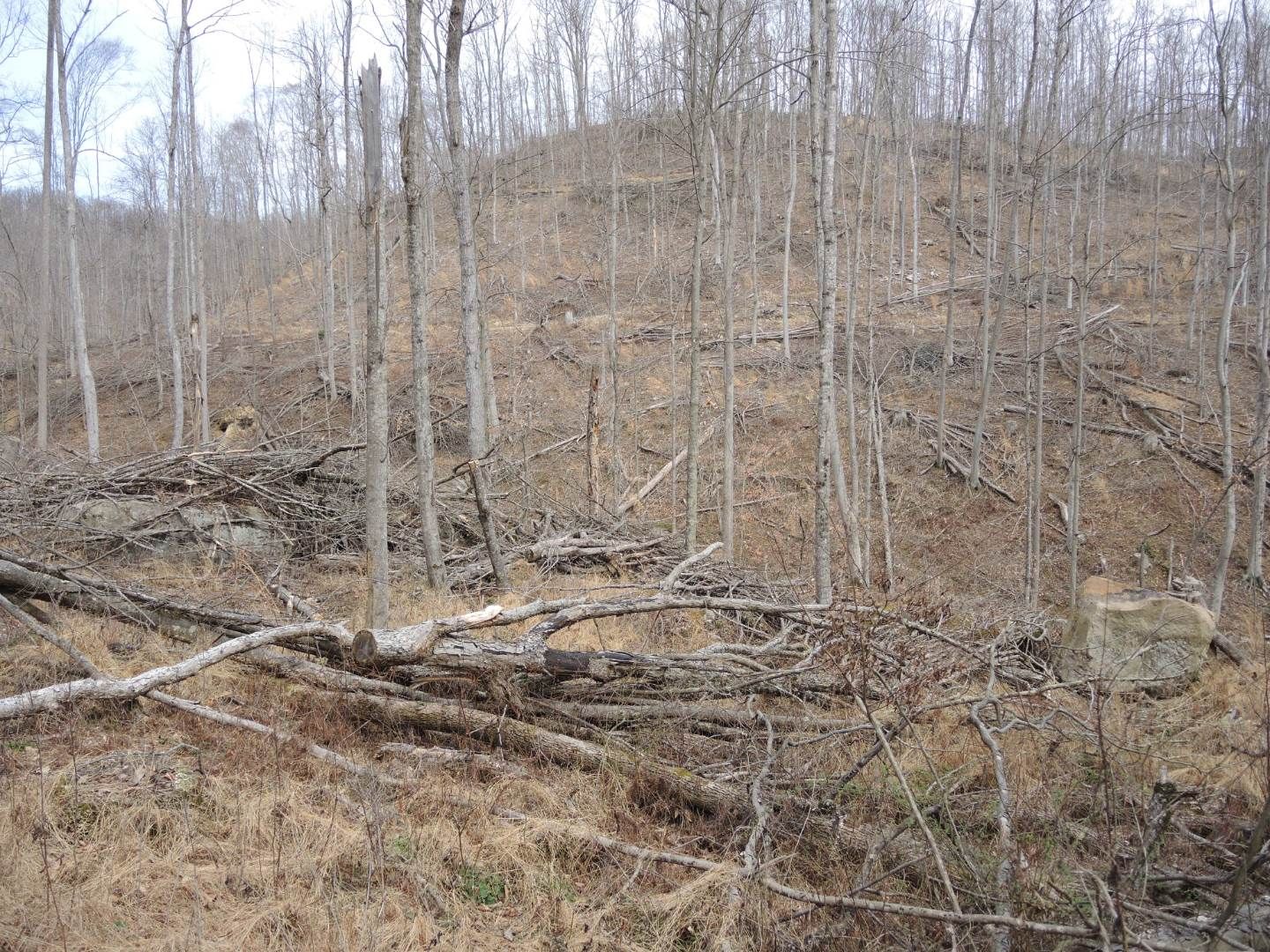 Sutton, Braxton County, WV Undeveloped Land for sale Property ID