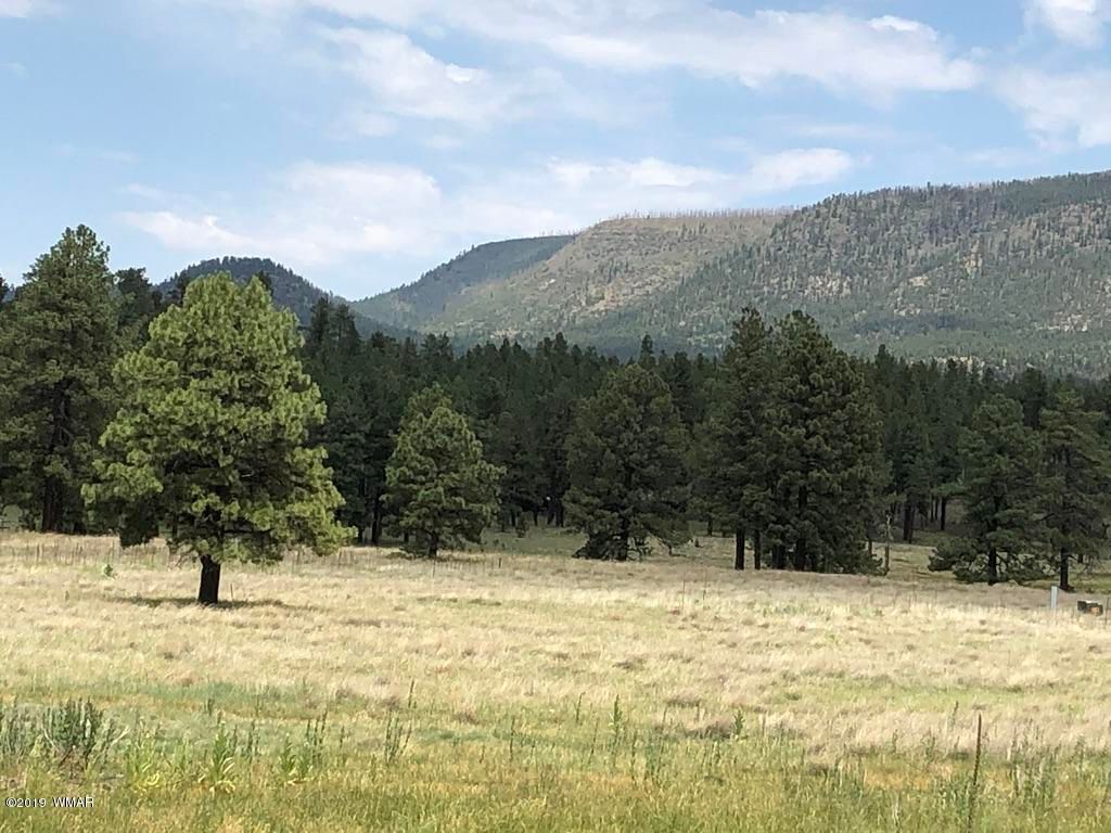 Alpine, Apache County, AZ Undeveloped Land for sale Property ID