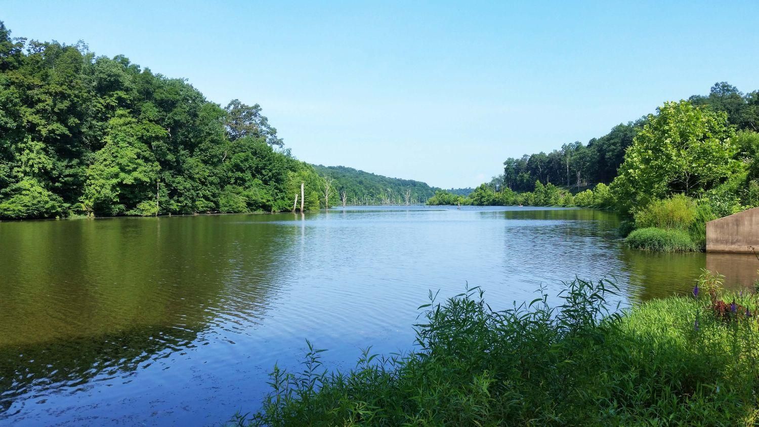 Ripley, Jackson County, WV Recreational Property, Undeveloped Land