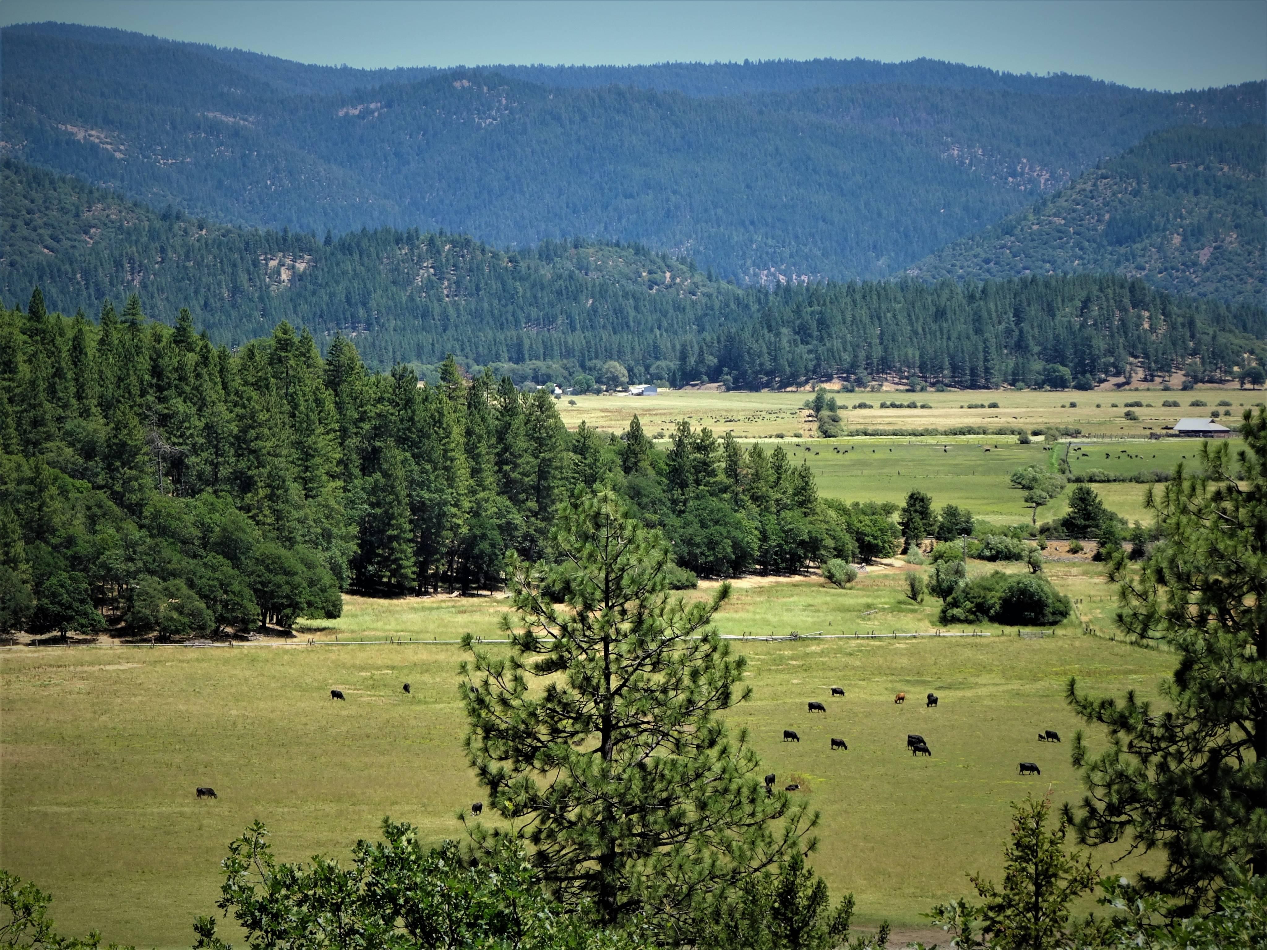 Crescent Mills, Plumas County, CA Farms and Ranches, Recreational