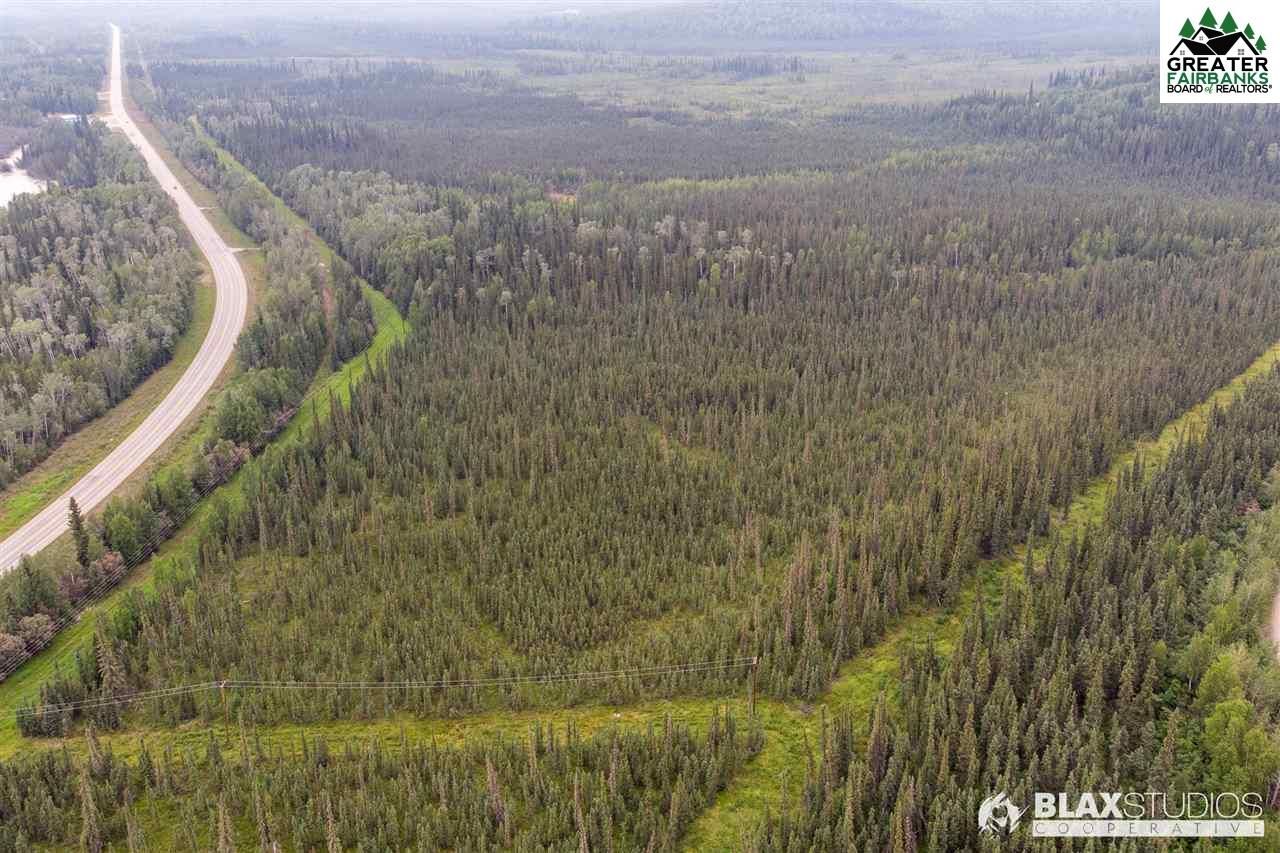 Salcha, Fairbanks North Star Borough, AK Undeveloped Land for sale
