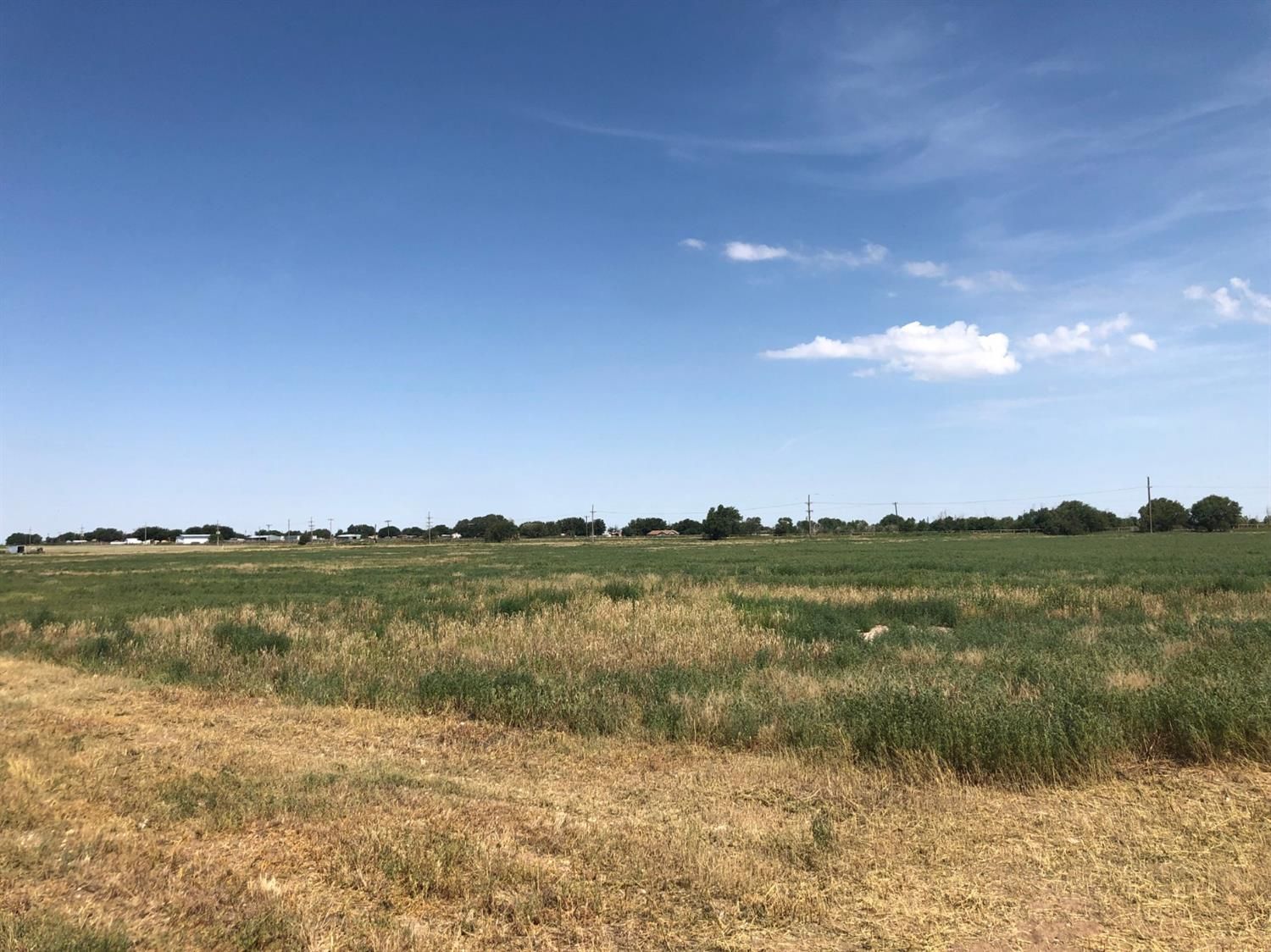 Levelland, Hockley County, TX Undeveloped Land for sale Property ID