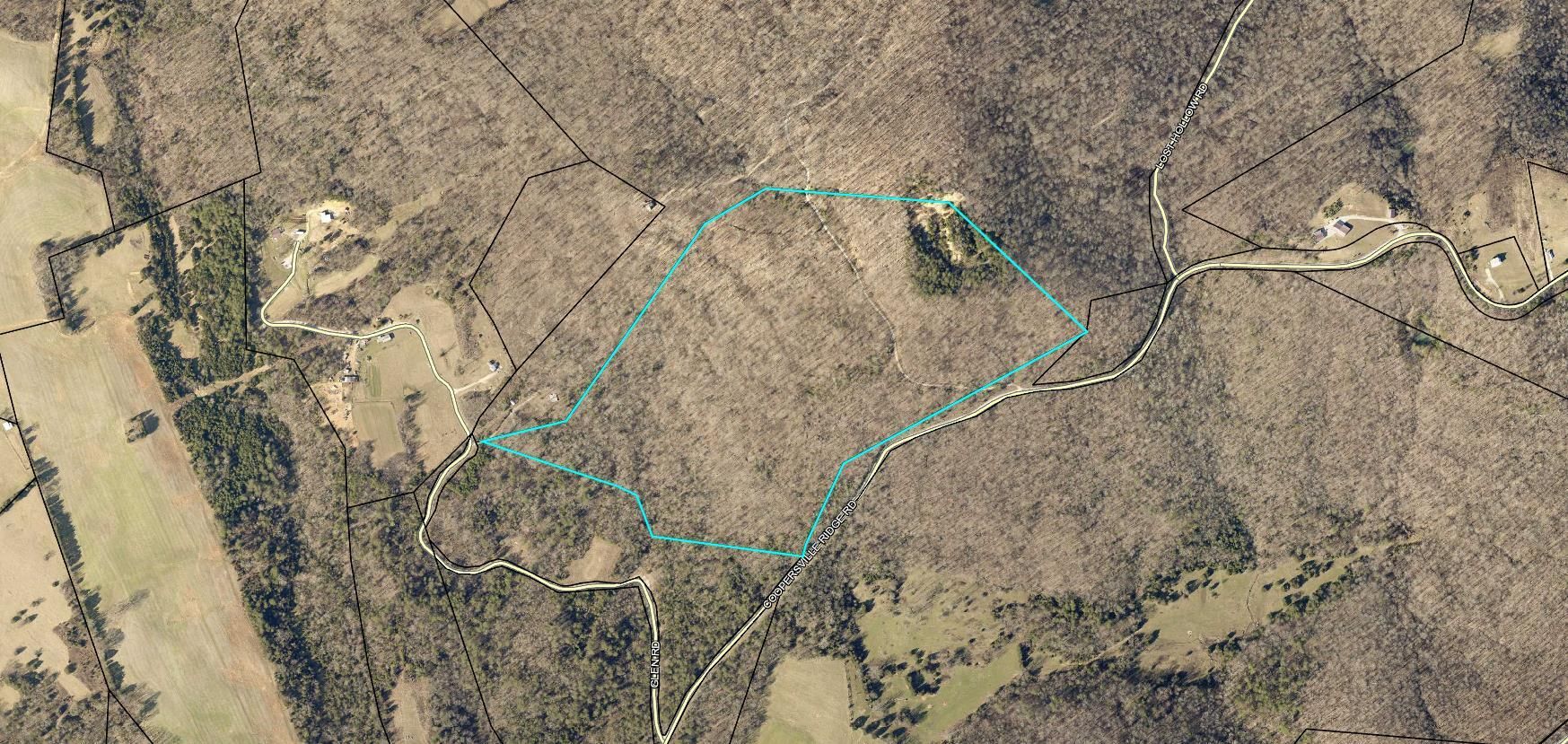 Monticello, Wayne County, KY Undeveloped Land for sale Property ID