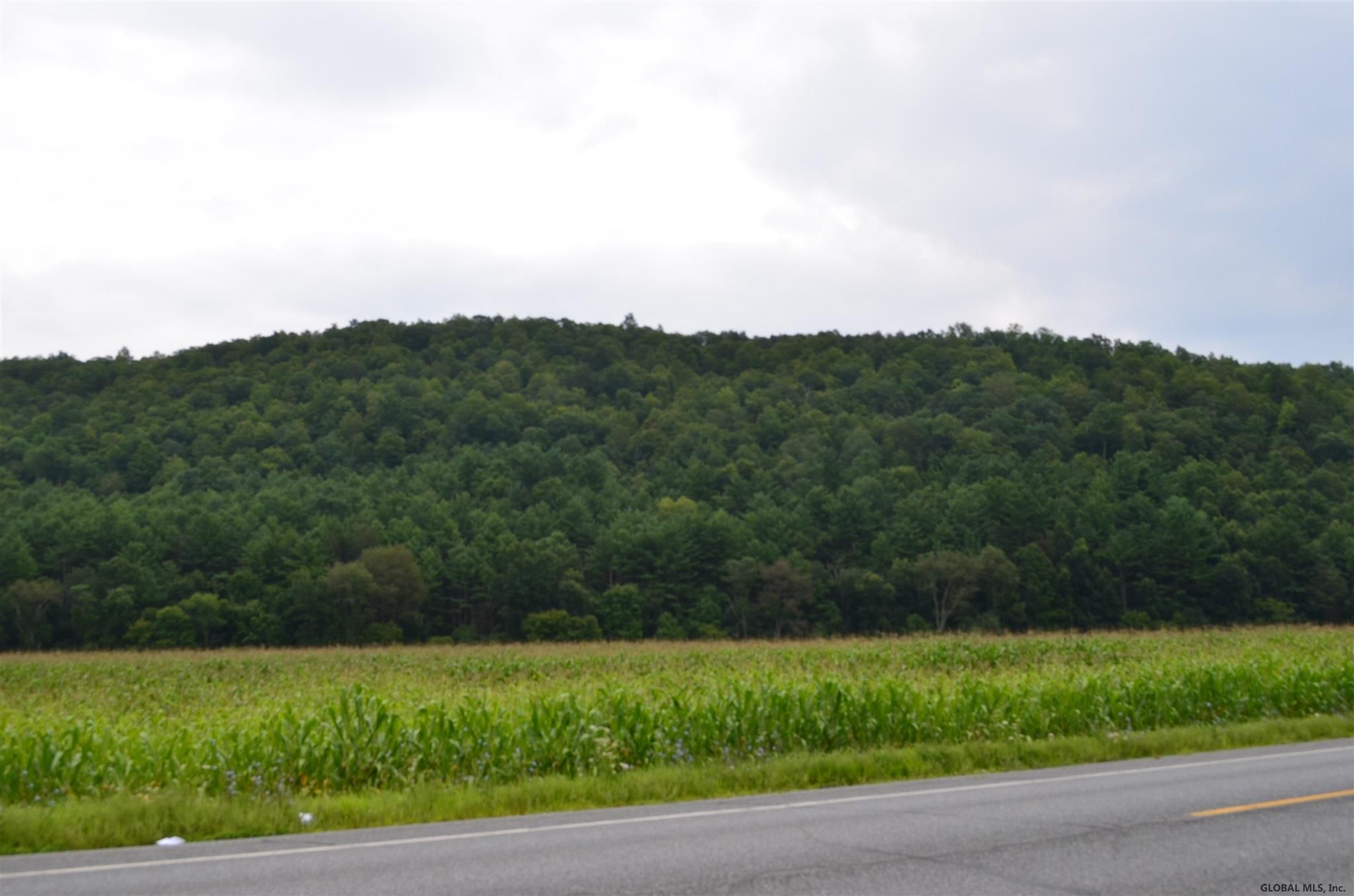White Creek, Washington County, NY Undeveloped Land for sale Property