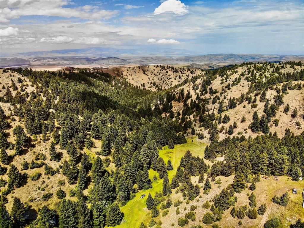 Three Forks, Gallatin County, MT Undeveloped Land for sale Property ID