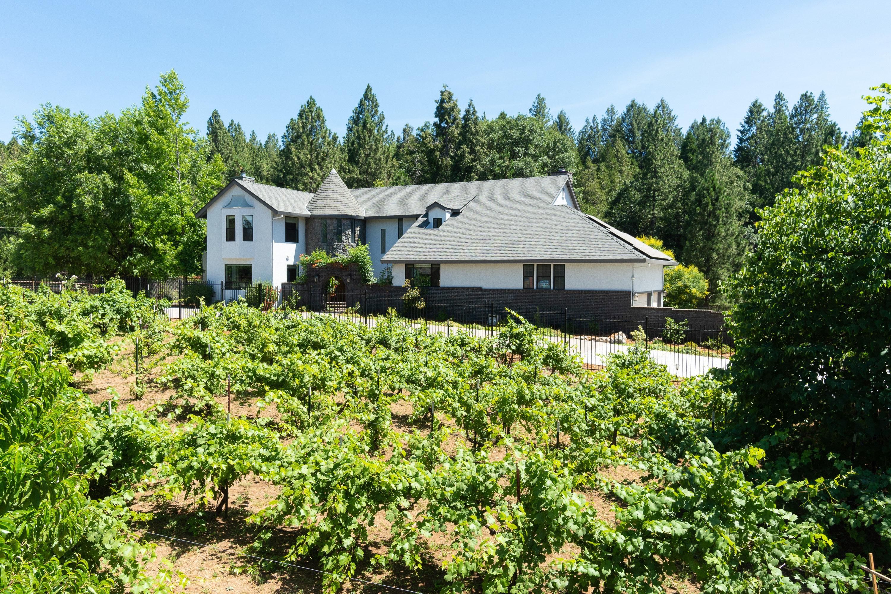 Volcano, Amador County, CA House for sale Property ID 335981077